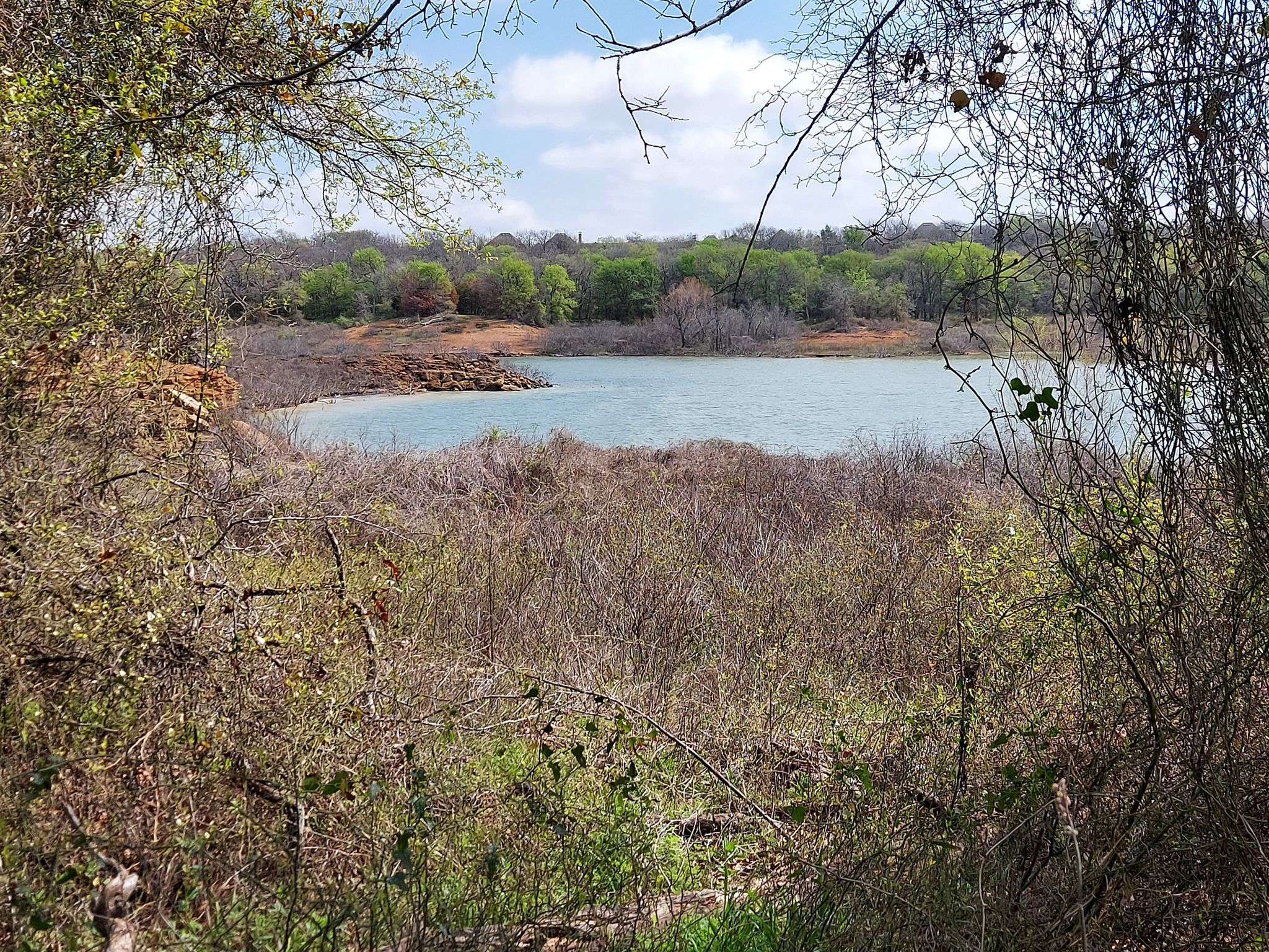 Lake view framed by dense bushes and trees under a bright sky. - Lakeside View at Murrell Park loop from Sunset Point at Twin Coves