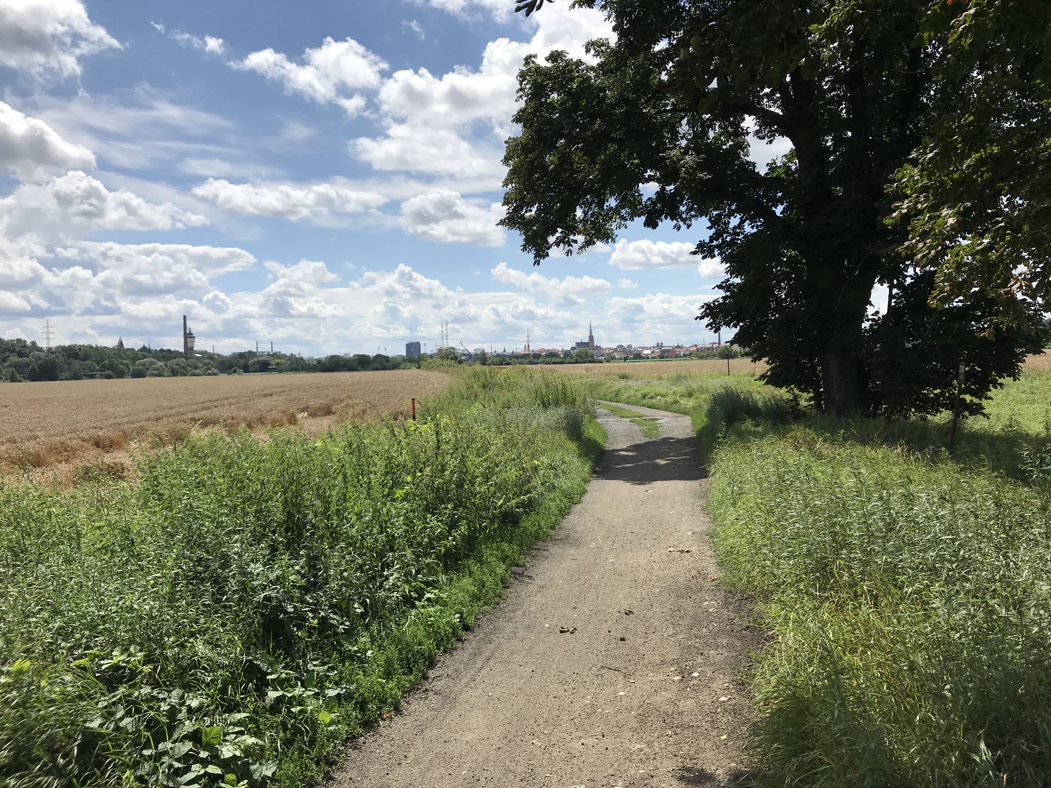 Zurück nach Pilsen