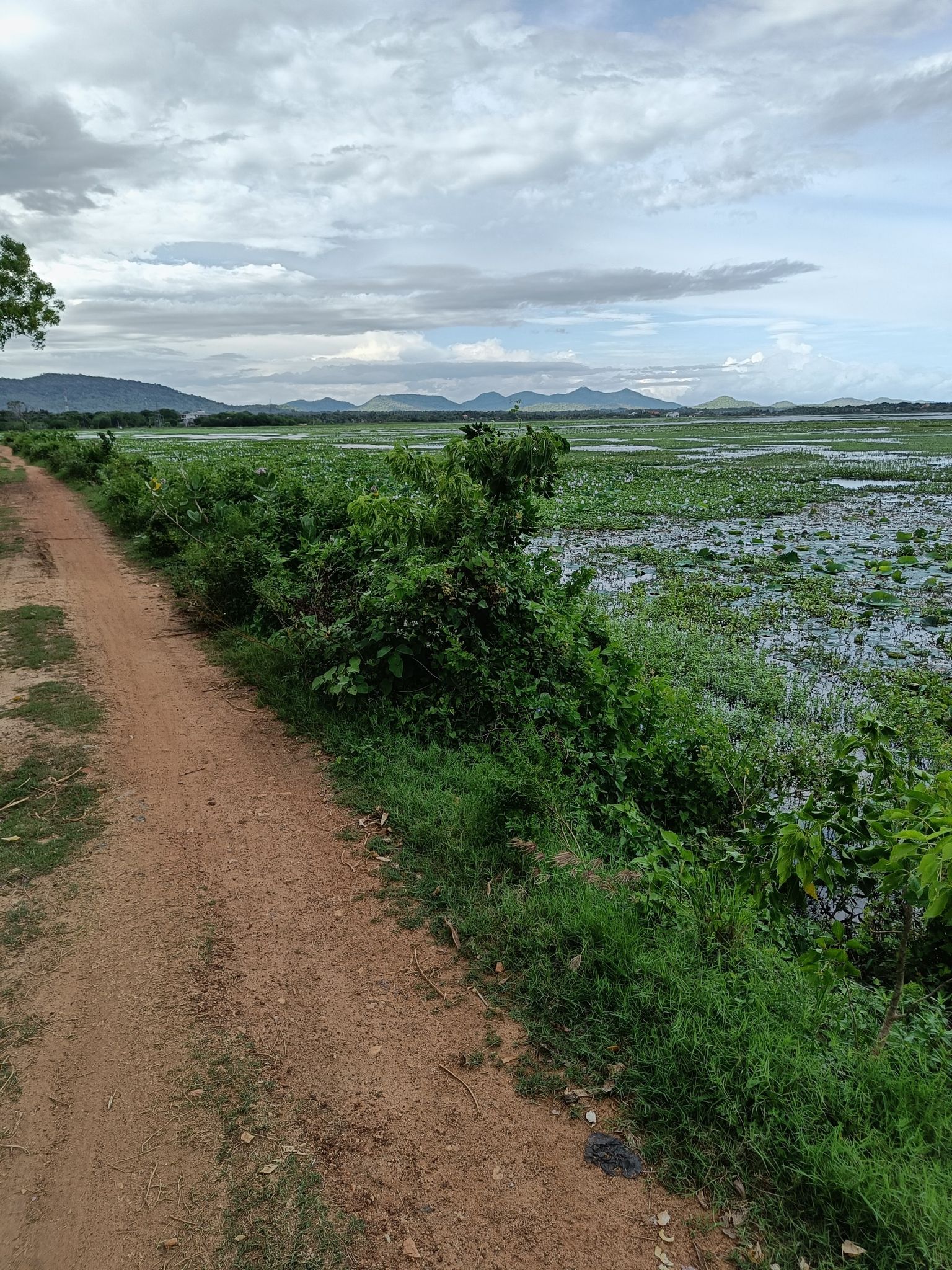 Wonderfull gravel road!