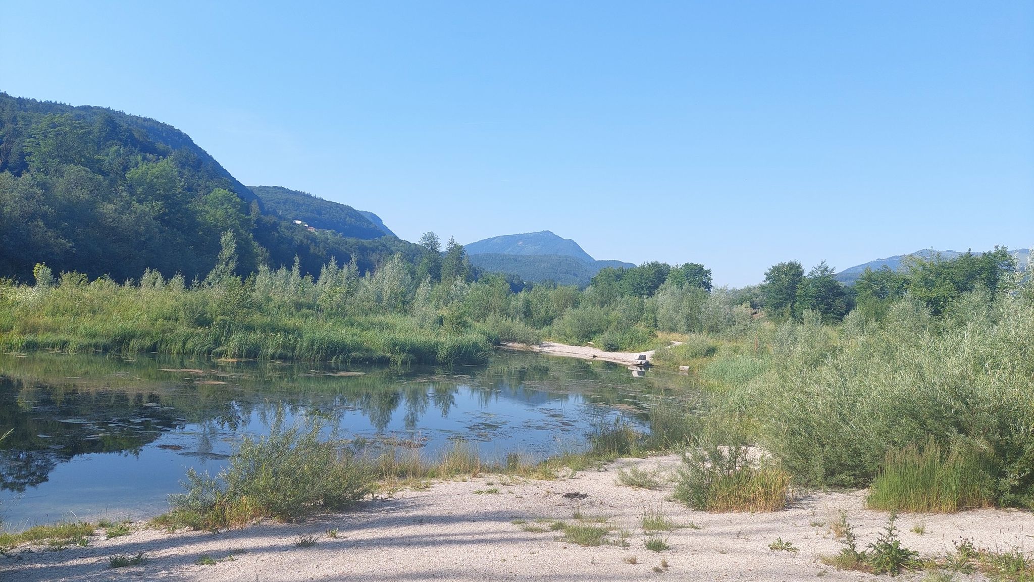 Badeplatz mit Algen
