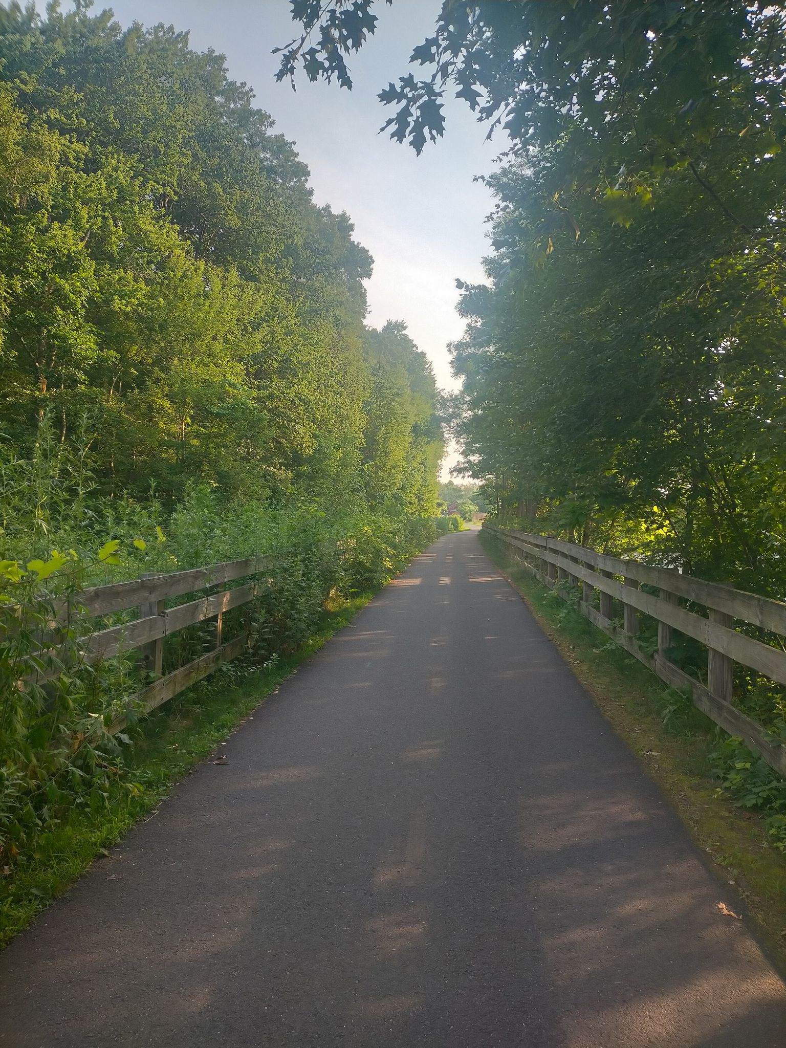 Paved path lined by green trees and wooden fences under bright sunlight. - Redstone Trailway