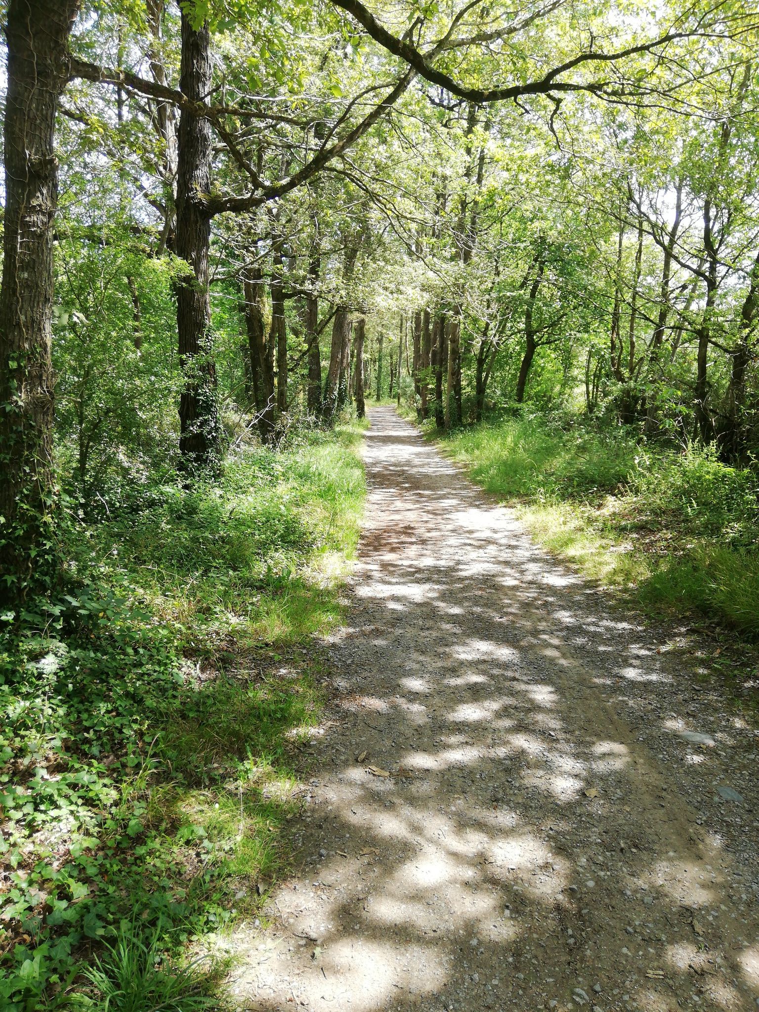 chemin de Guinezert