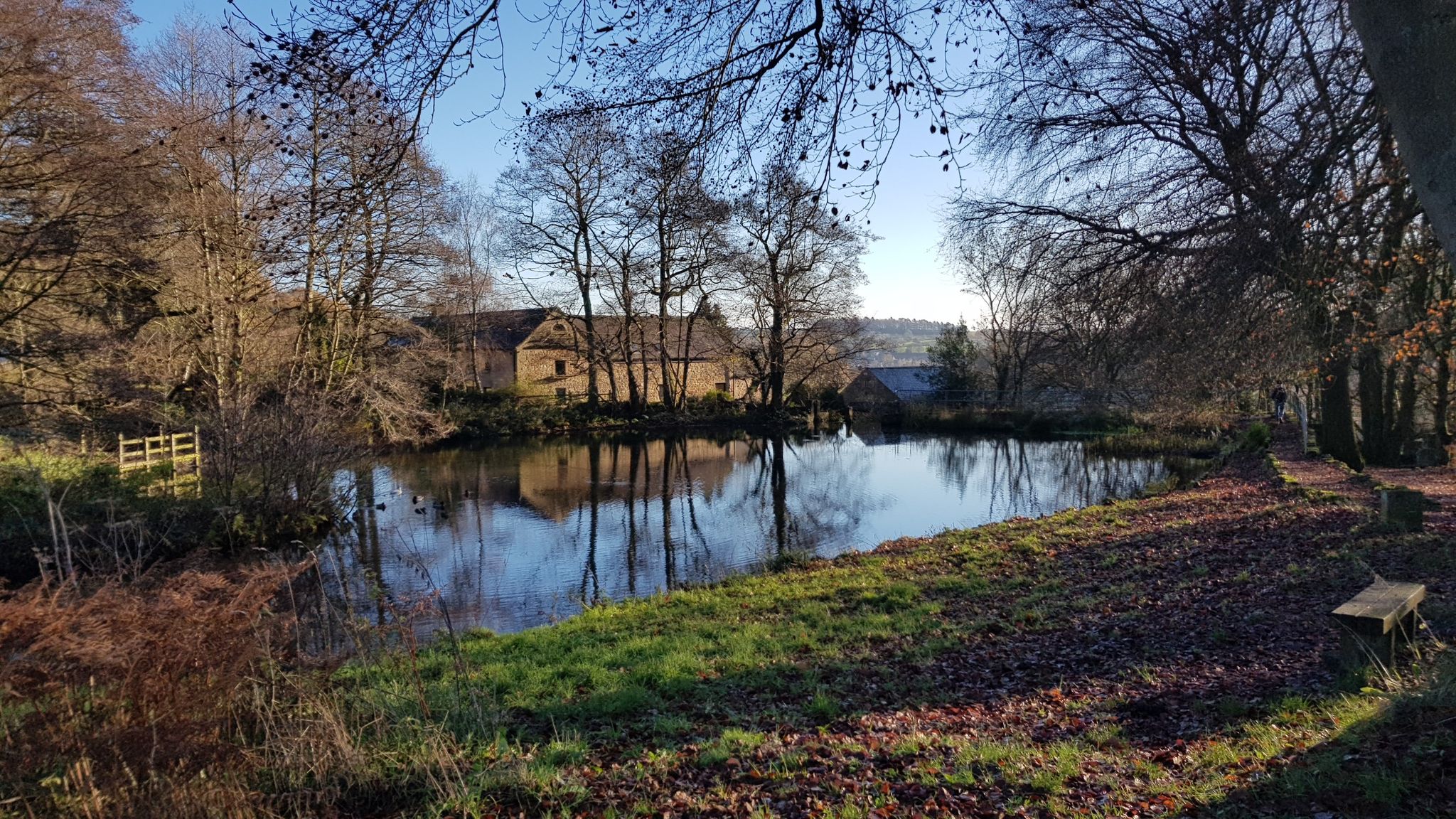 Lower Pond-Lumsdale