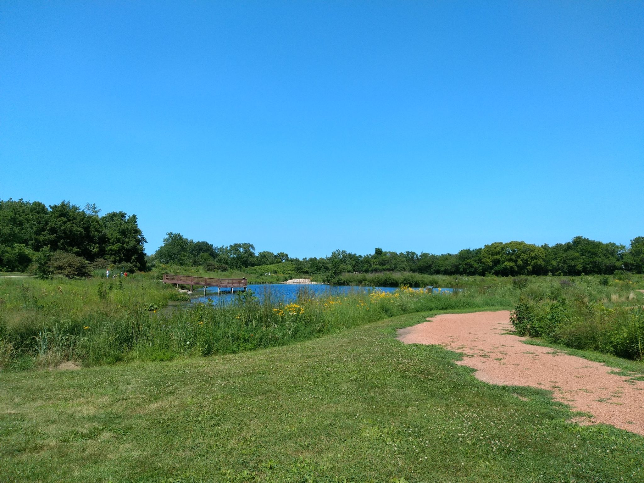 A sunny view of a pond with a distant dock, surrounded by green grass. - Old Plank Road Trail