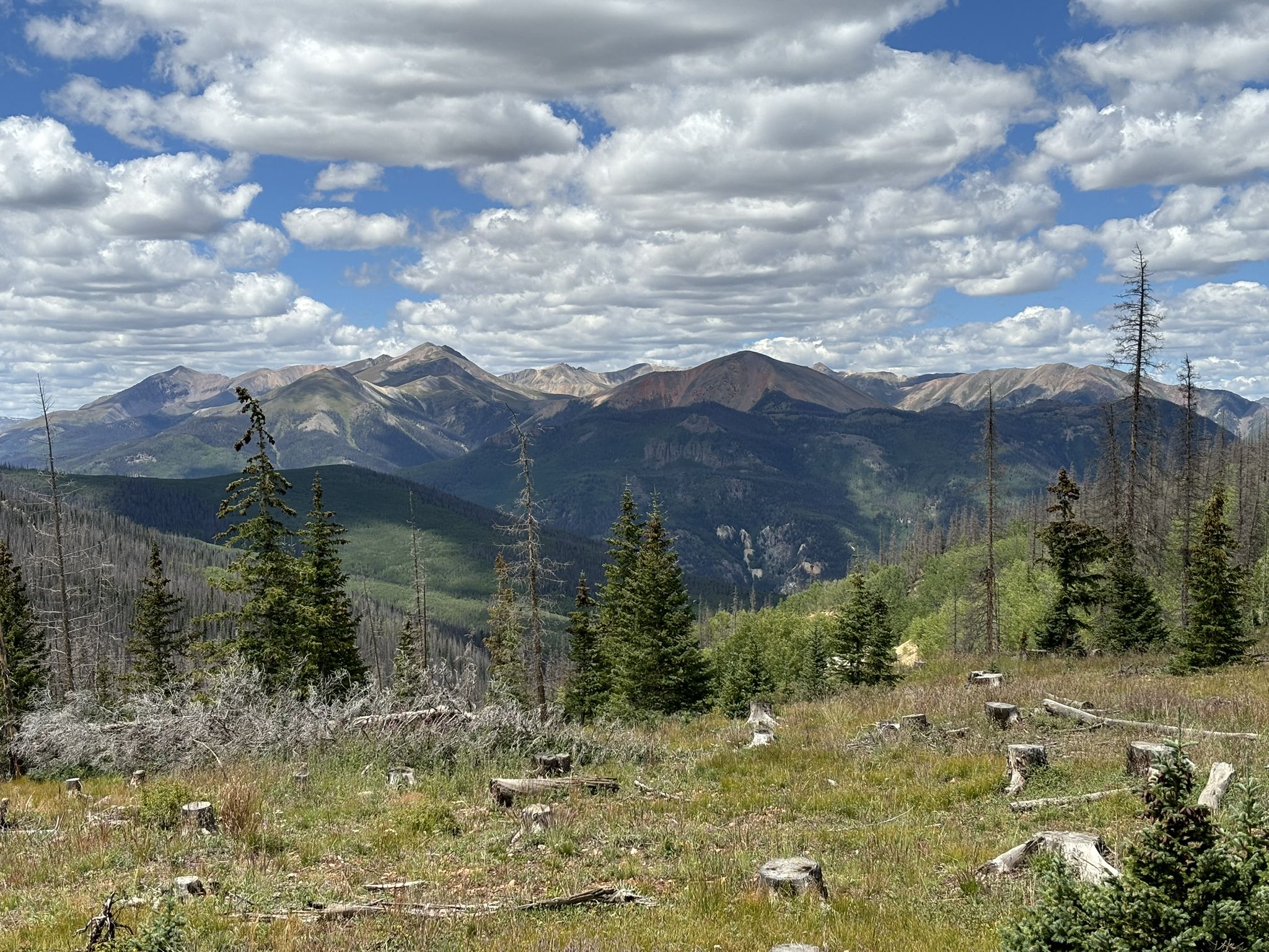 A vast mountain range under a partly cloudy sky, with tree stumps in the foreground. - Colorado Trail Segment 19 - 21 Detour (La Garita Wilderness Bypass)