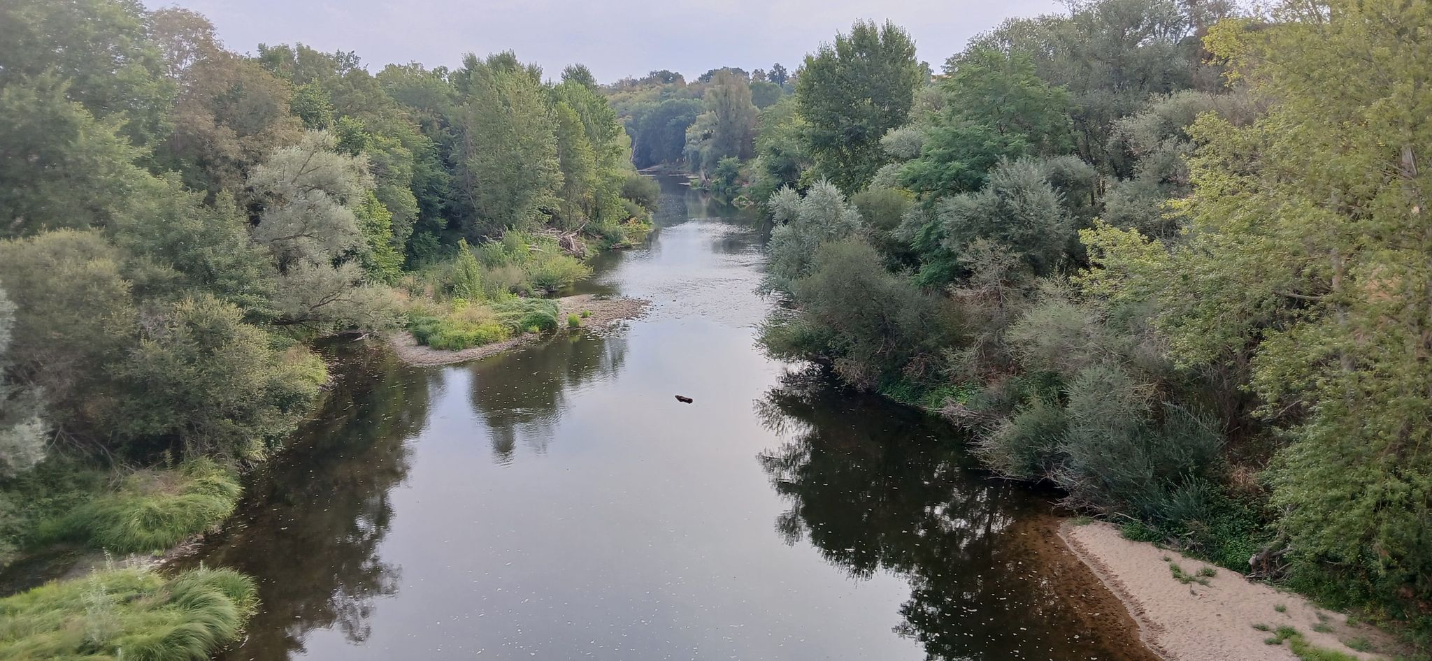 Le Cher en aval du pont de la Perche.