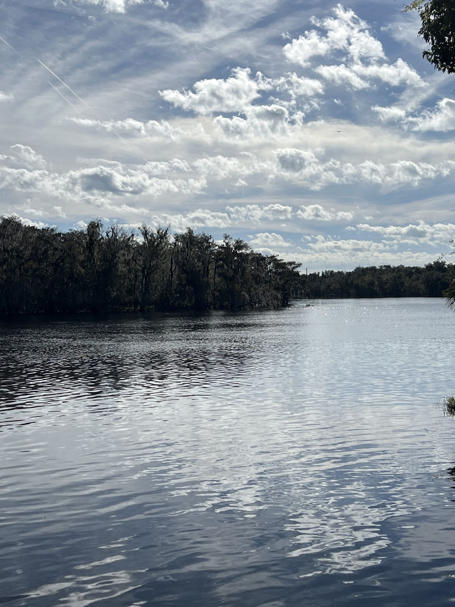 Calm river with forested banks under a partly cloudy sky. - Black Bear Wilderness Loop Trail