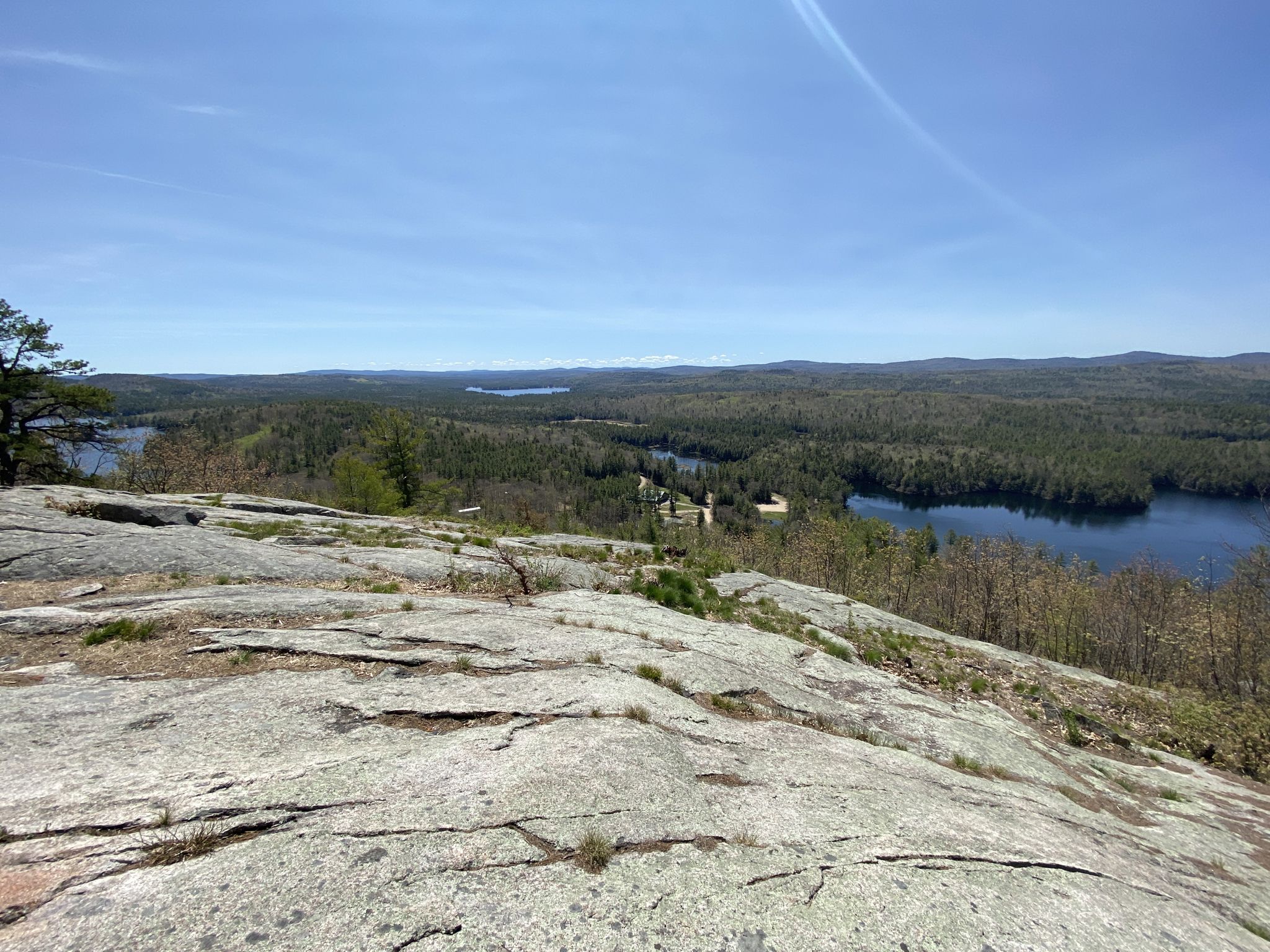 Sunny panoramic view from a rocky peak overlooking lakes and dense forests. - Mount Shannon Yellow Trail Loop