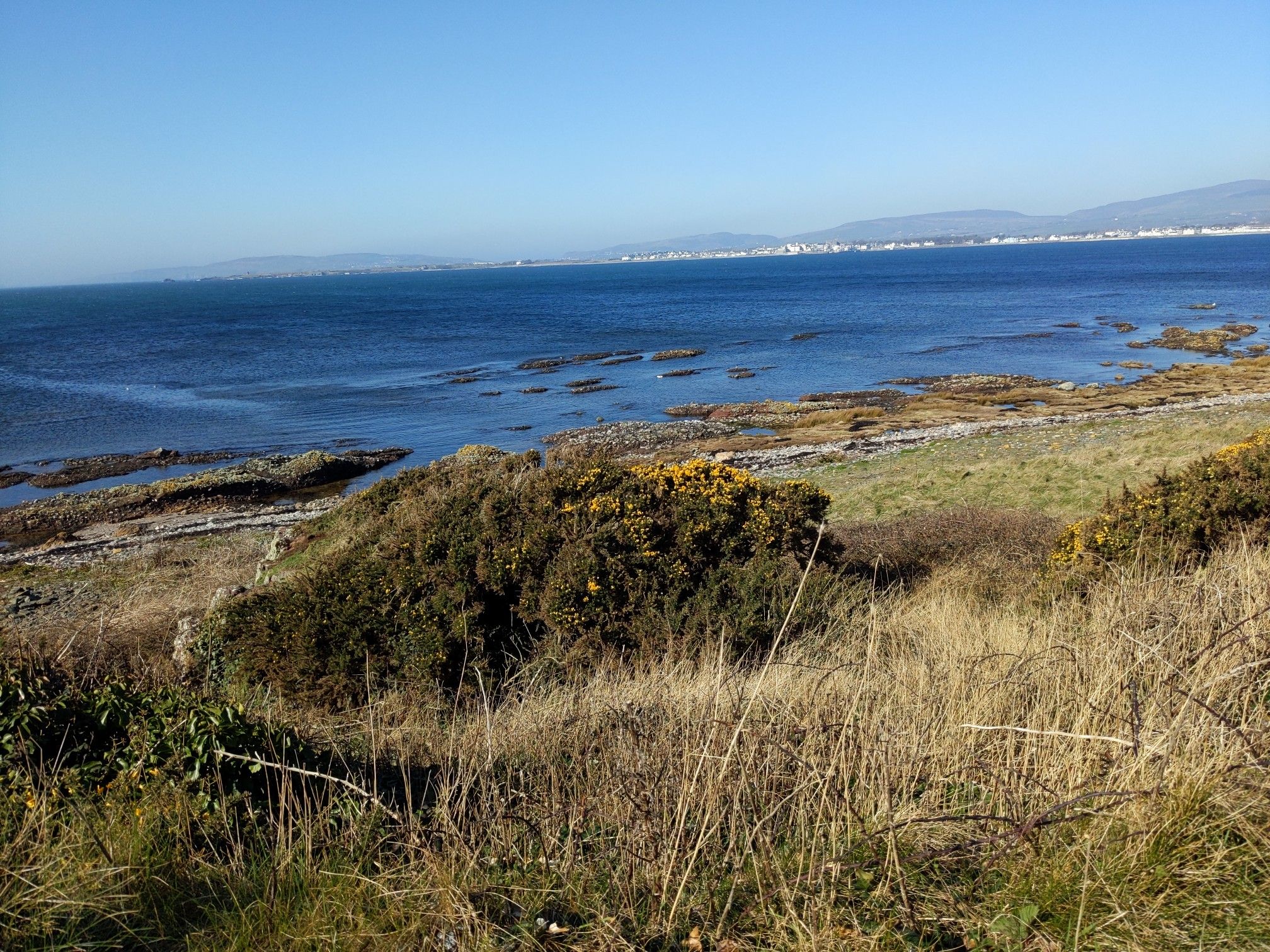 View from Langness back to Castletown