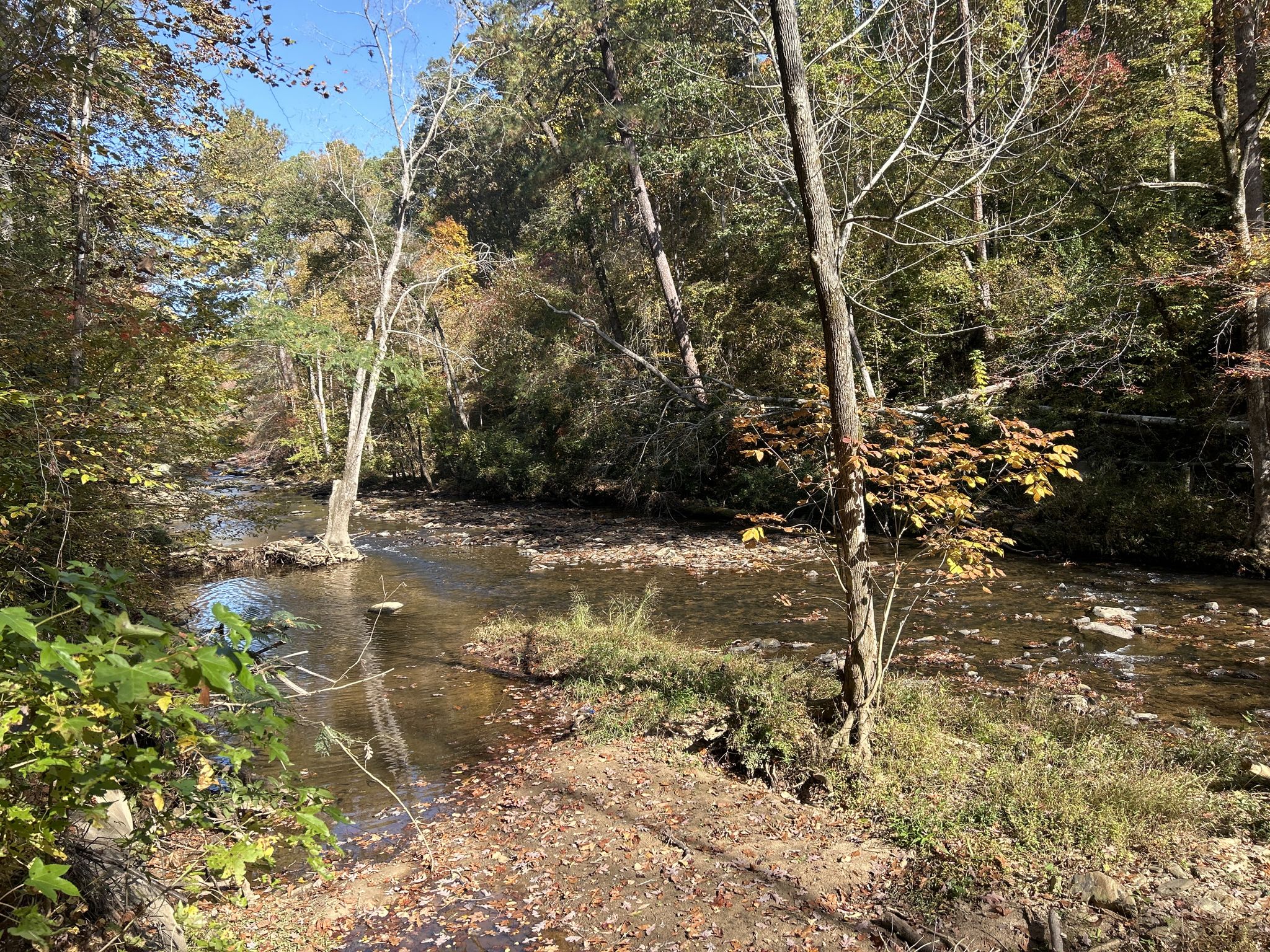 Shallow river winds through a sunlit forest with autumn foliage and muddy banks. - Cochran Shoals Trail Loop