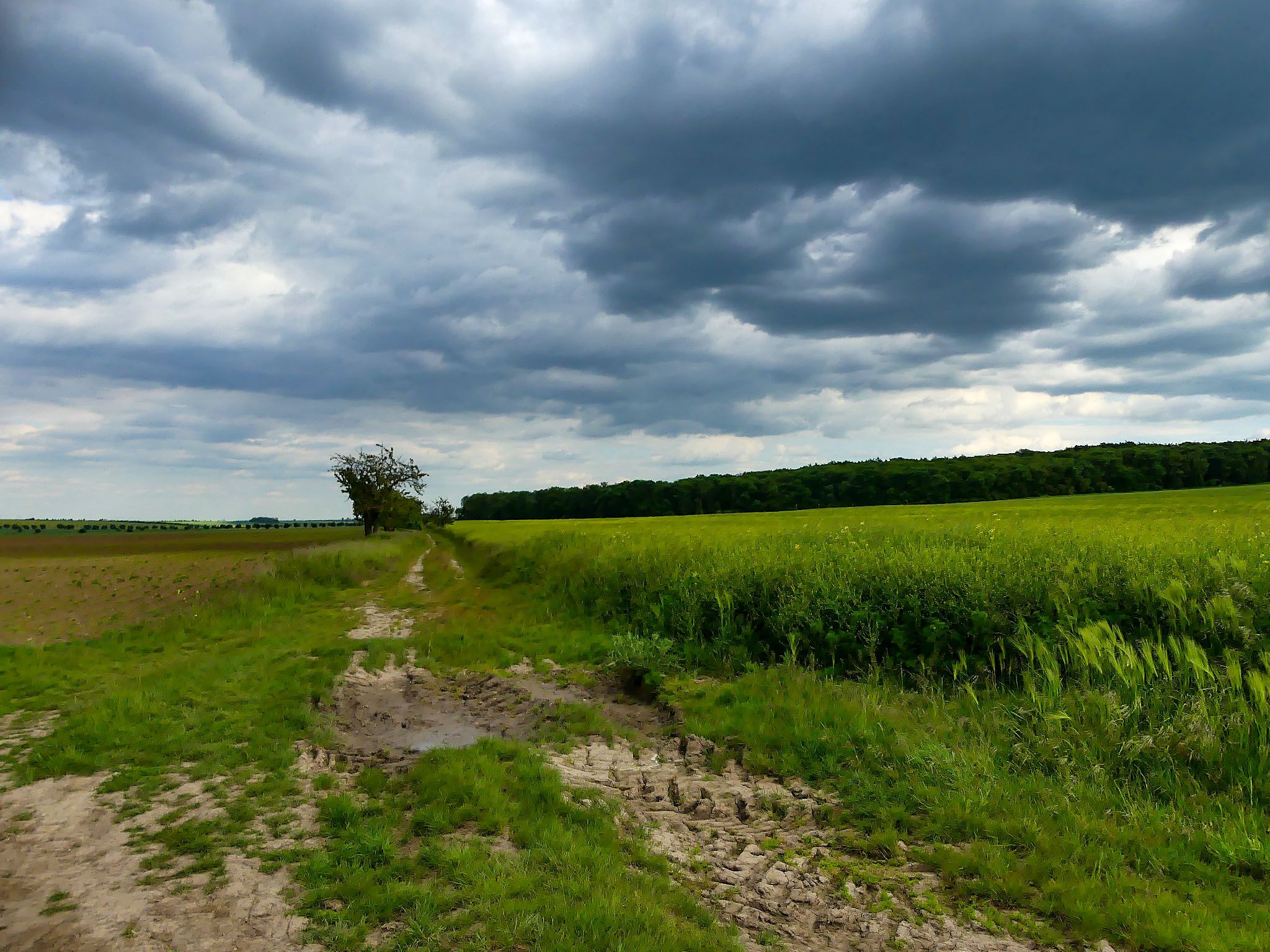 in Richtung Hakel