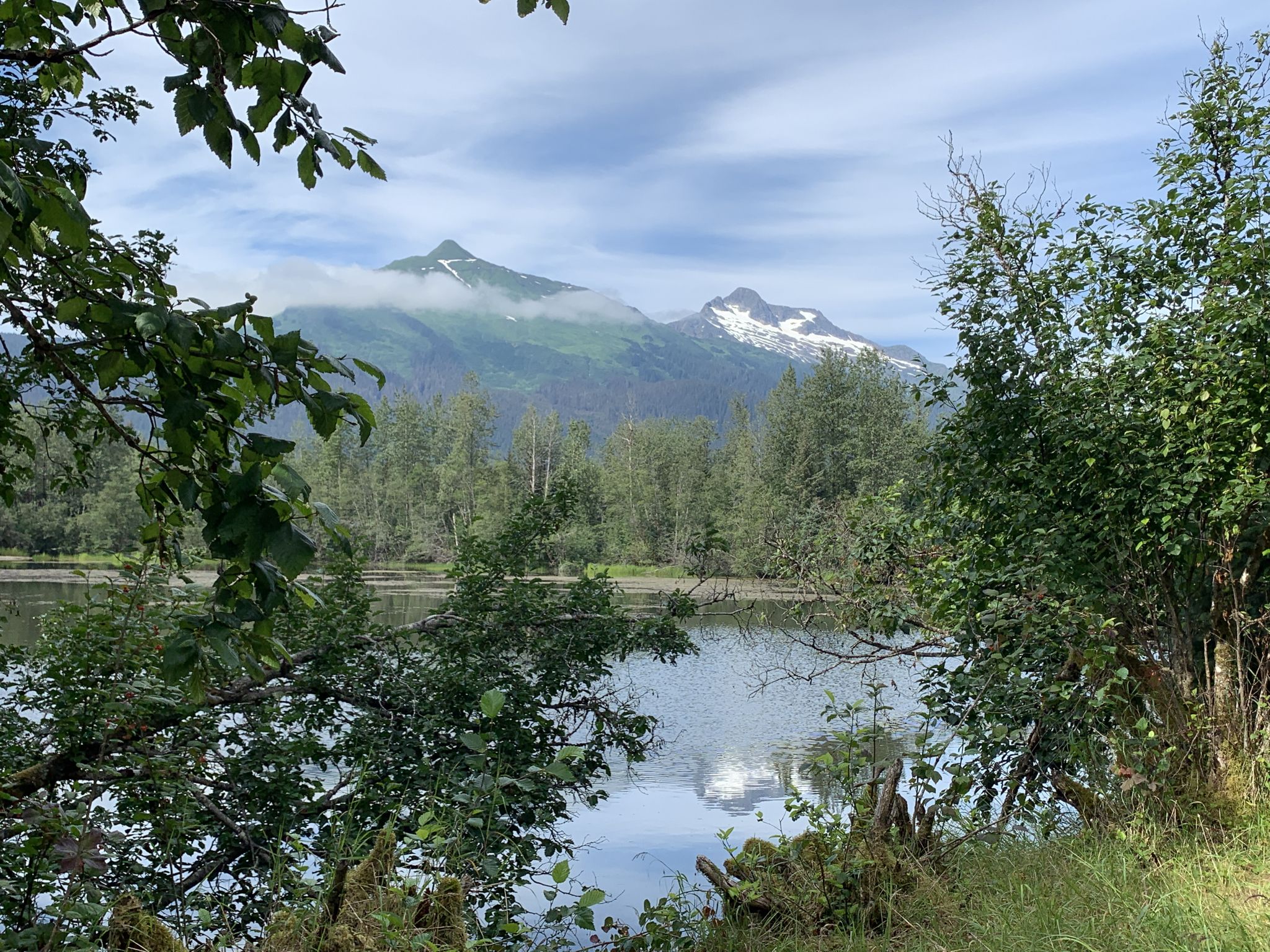 A lake framed by trees, with snow-capped mountains under a cloudy sky. - Dredge, Crystal, Moraine and Moose Lakes Loop