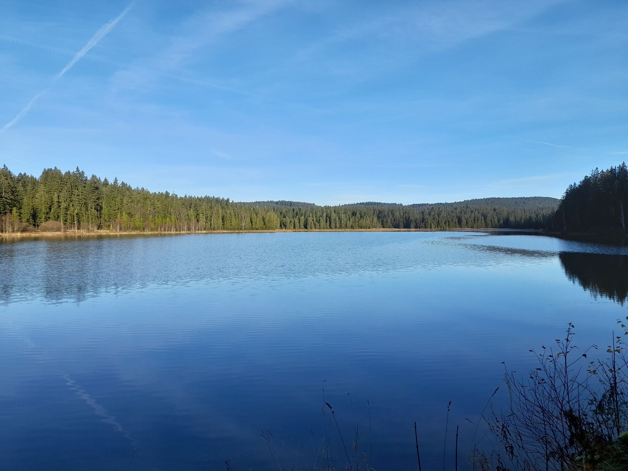 Rosenhofteich