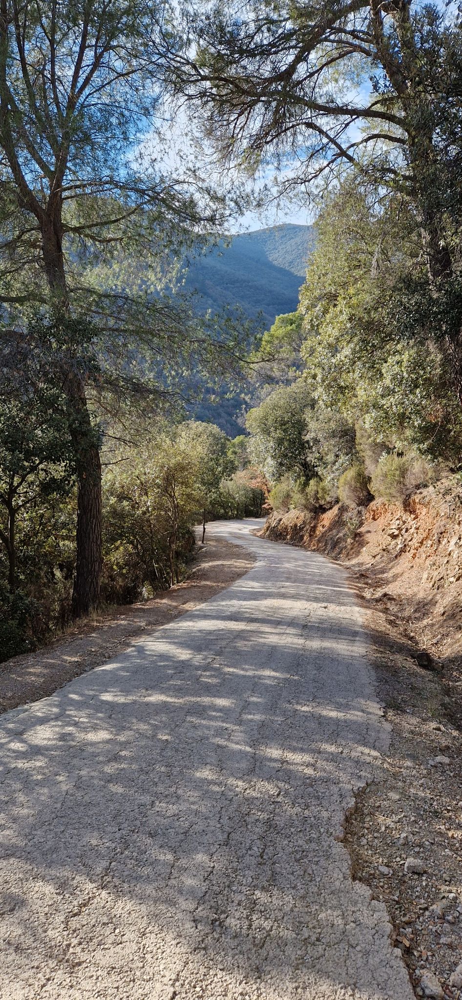 Bajada divertida de hormigon