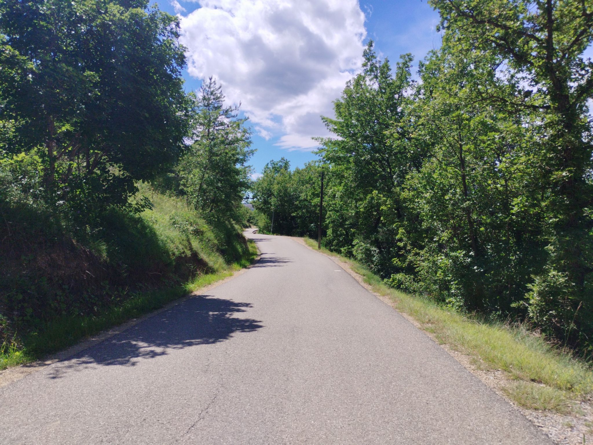 kleine Straße D12 entlang der Bleone