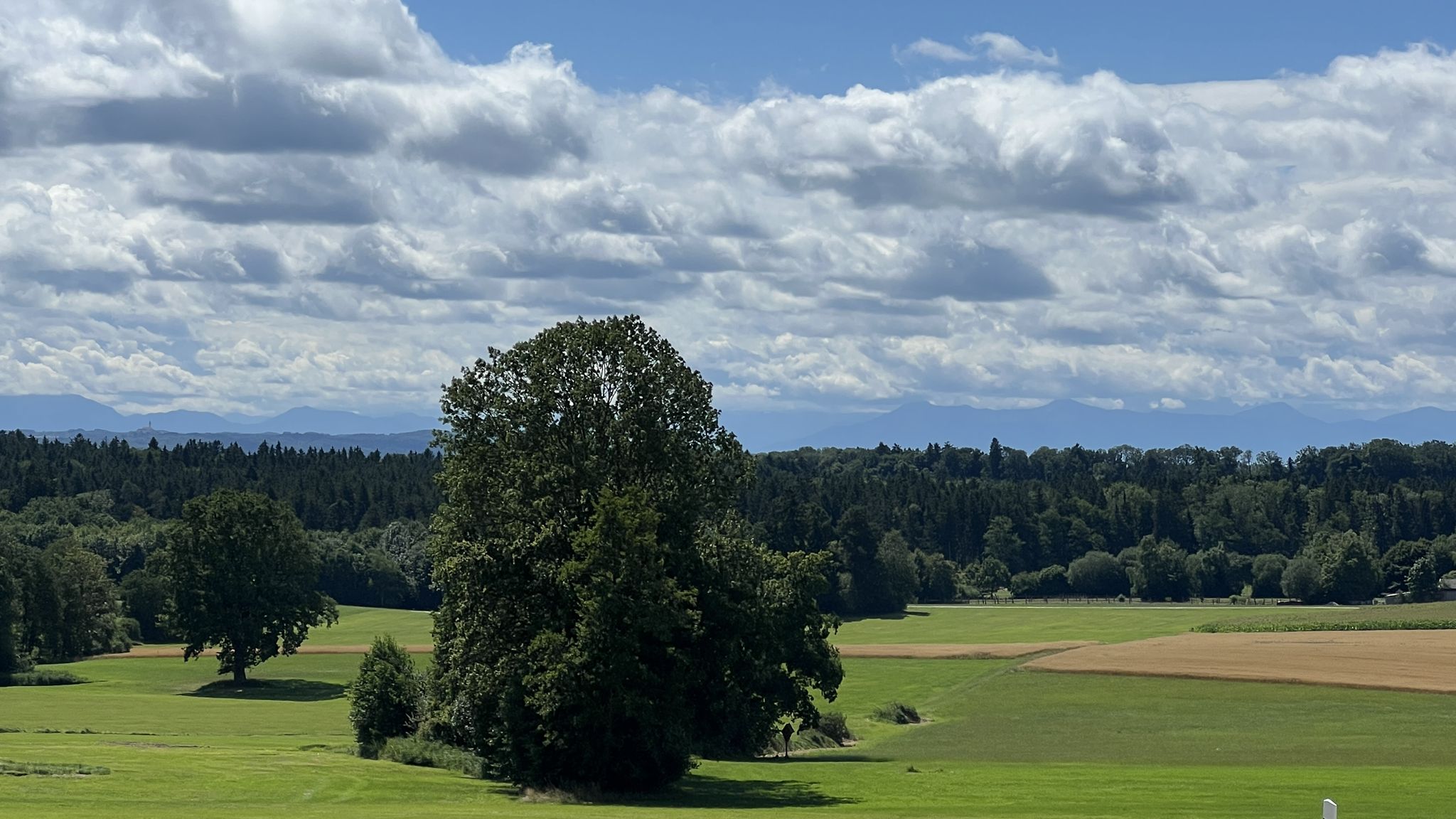 Langsam kommen die Alpen näher..