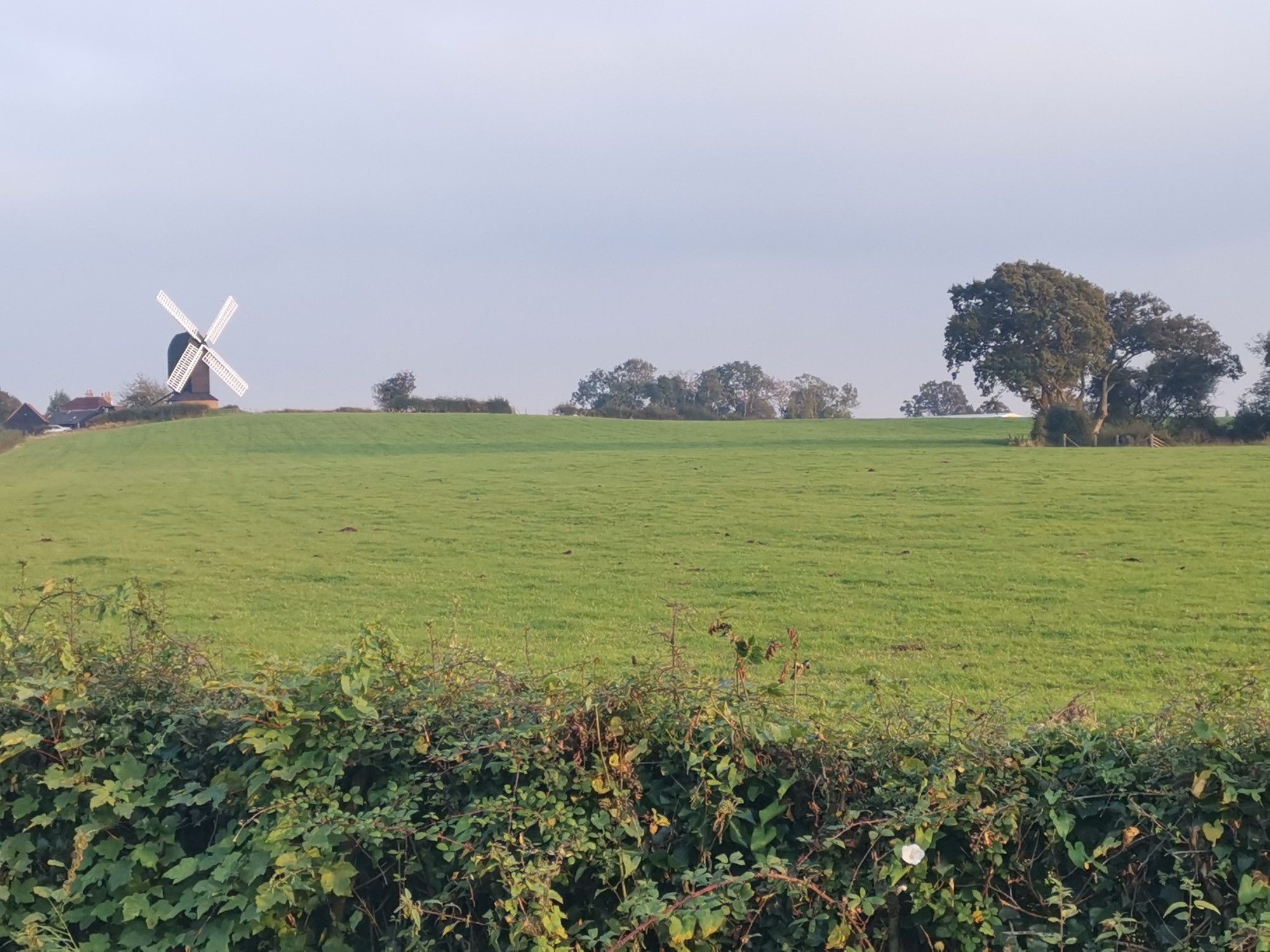 Rolvenden