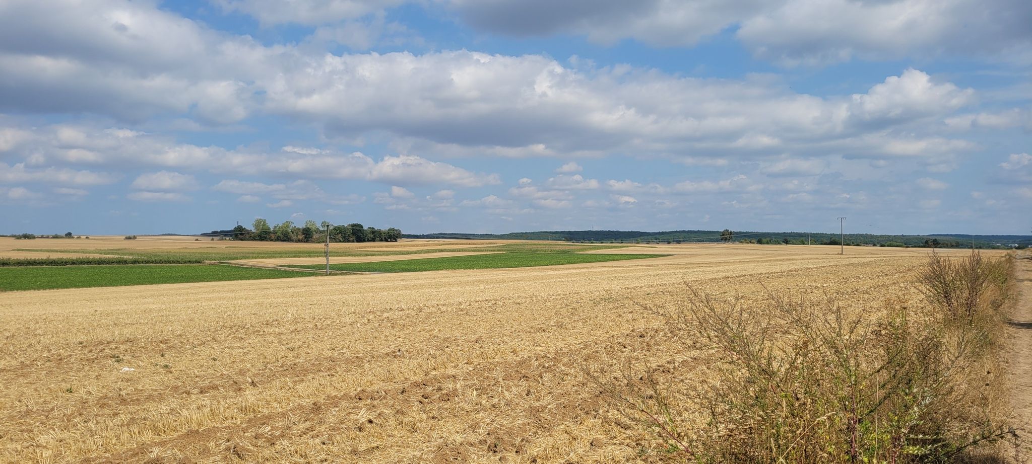 Alles trocken