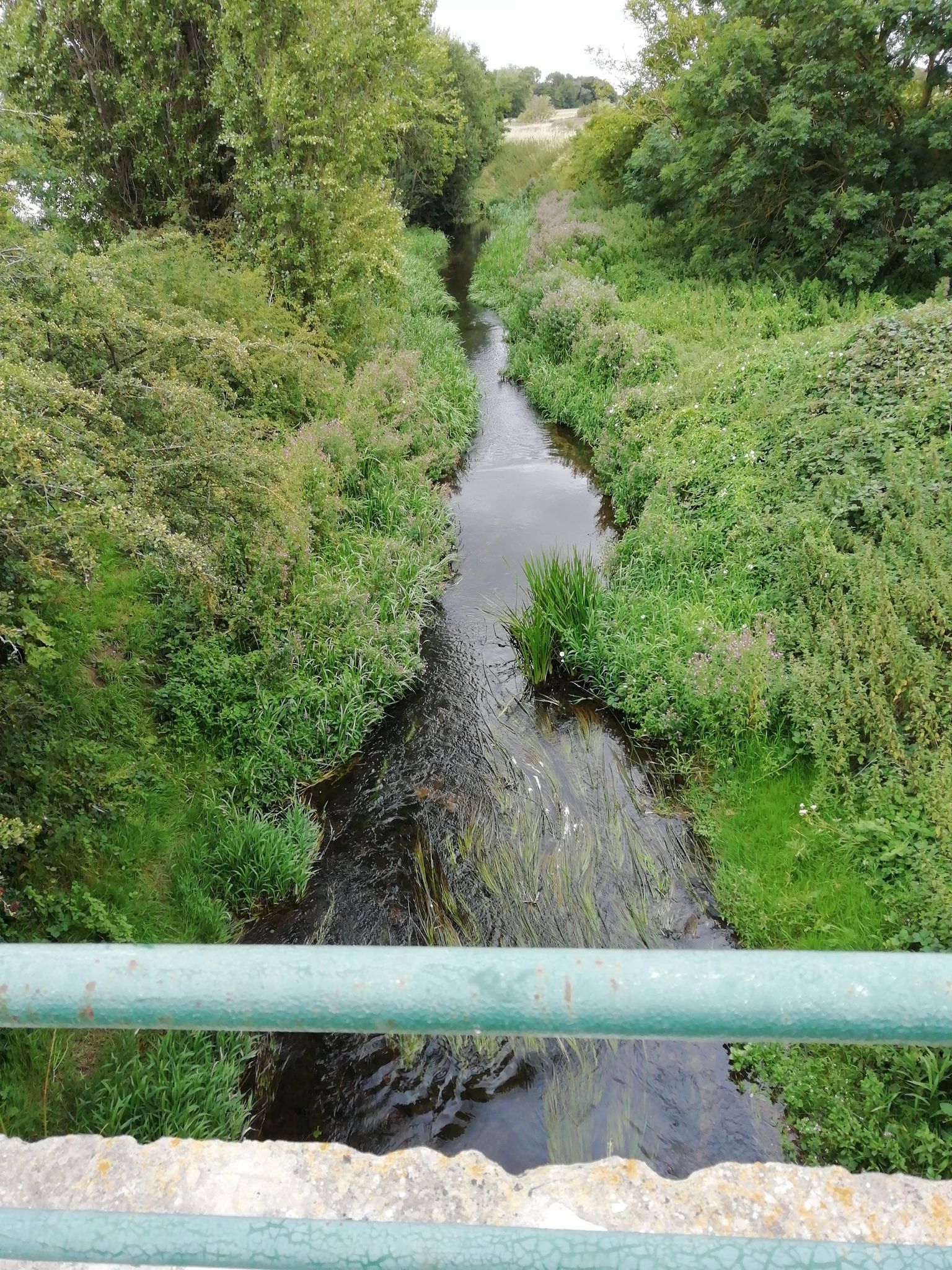 View from Kate's Bridge