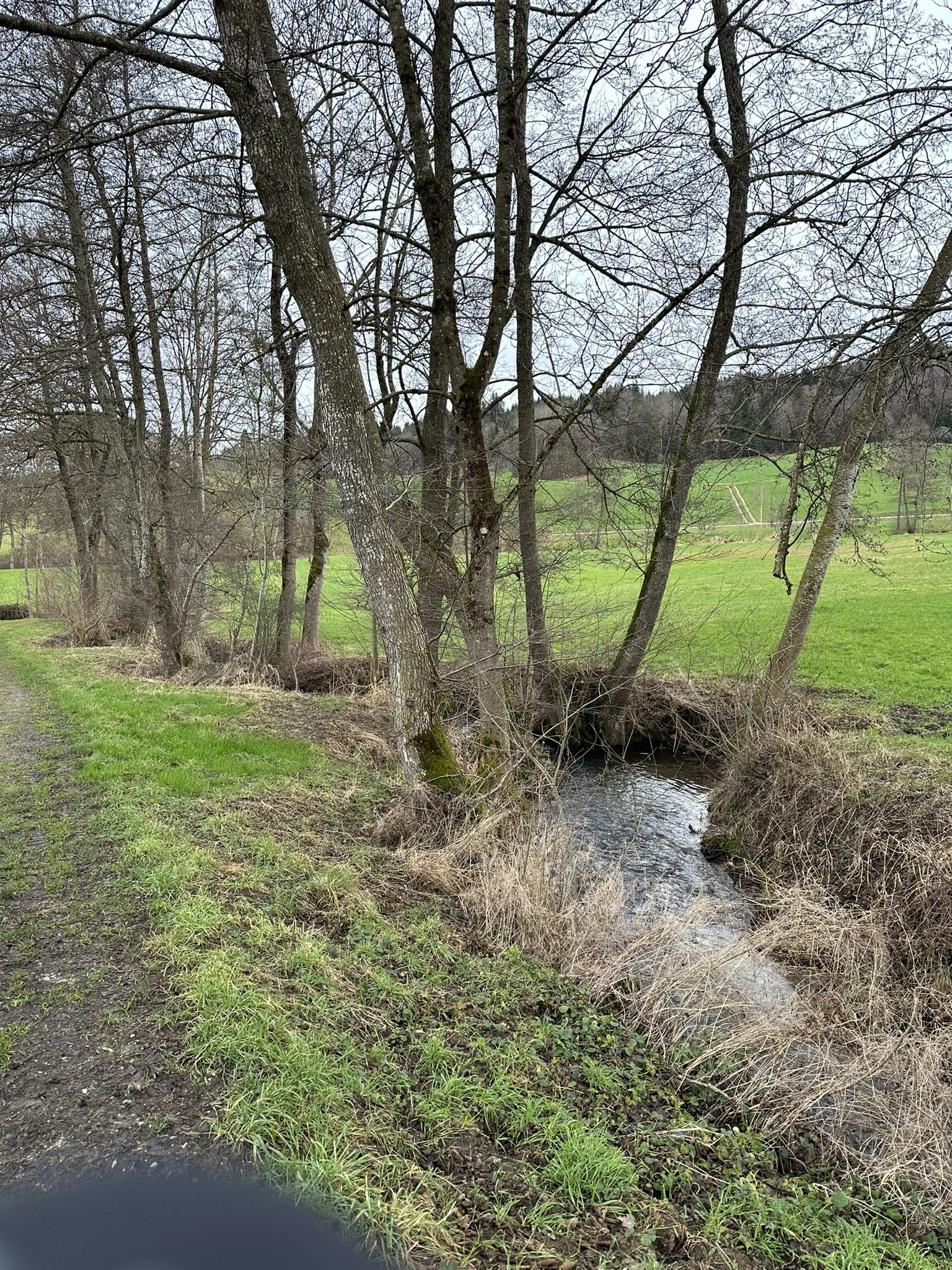 an einem Bach vorbei und über ein "Brüggli"..., dann weiter nach Grossdietwil > Fischbach...