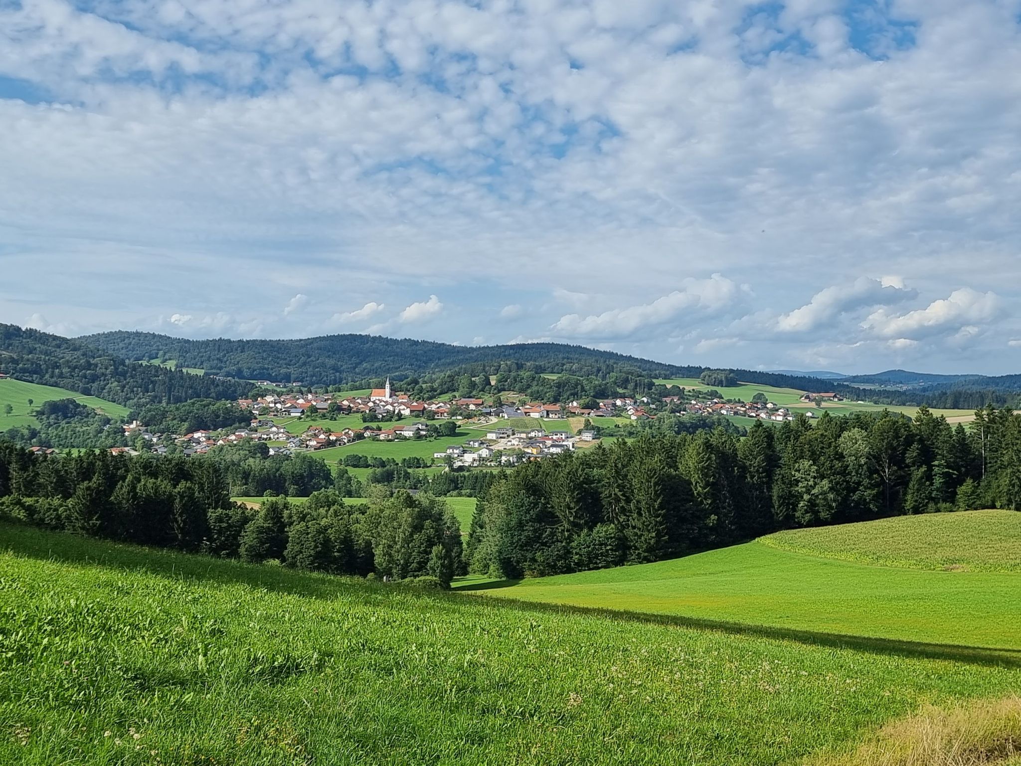 Wildenranna