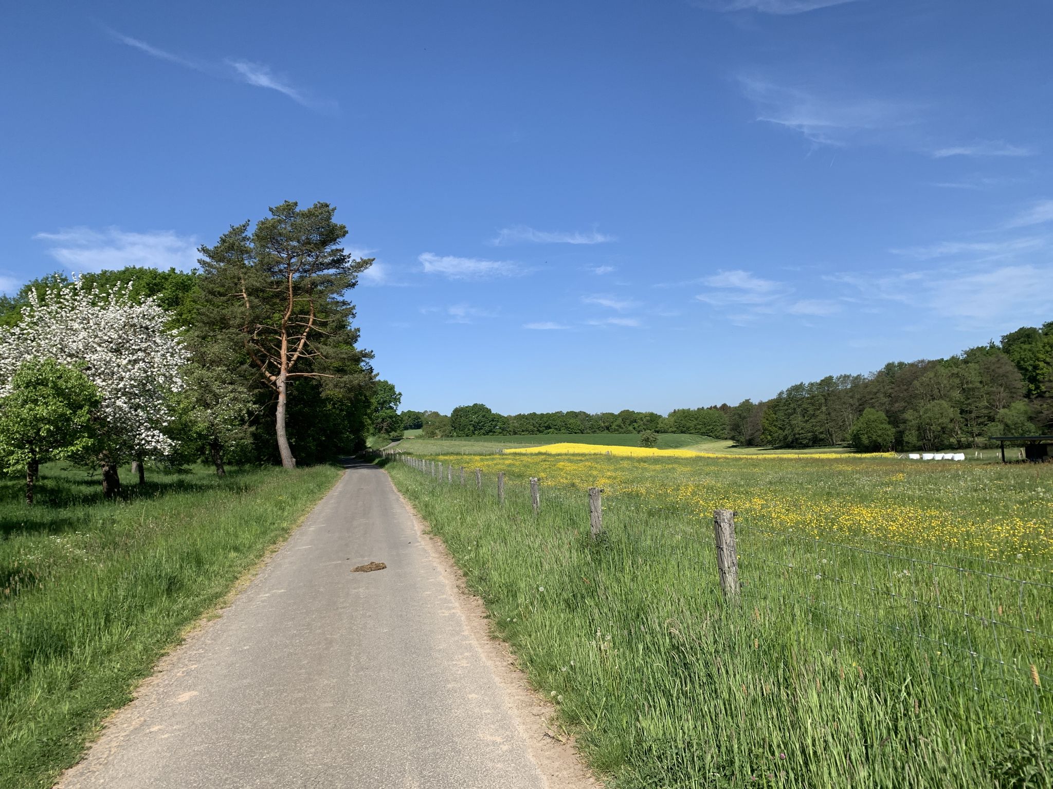 Blühende Landschaften