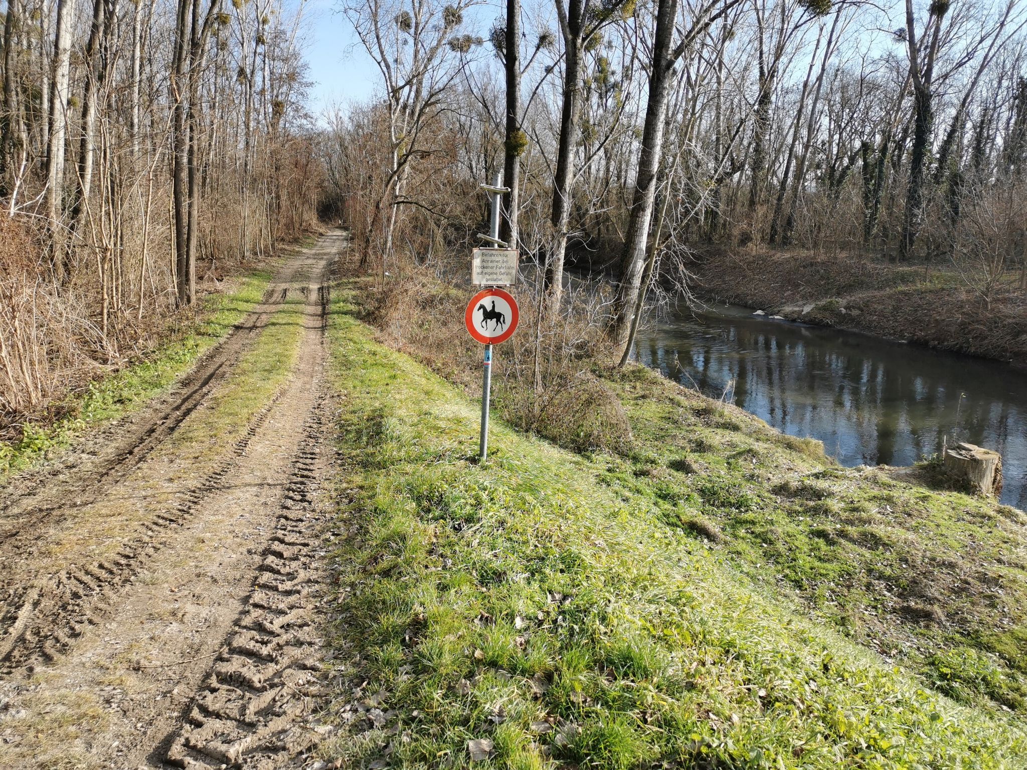 Entlang der Leitha durch die Au