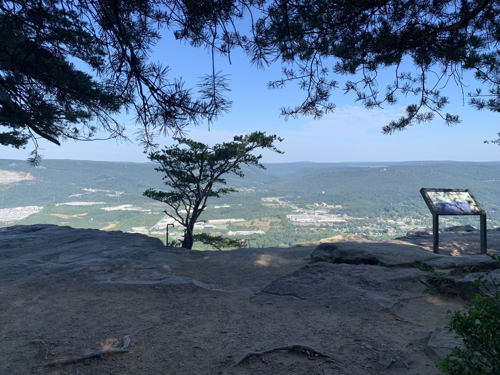 Rocky overlook with a small tree and interpretive sign, overlooking a valley. - Point Park Entrance Gate – Sunset Rock Overlook loop from Lookout Mountain
