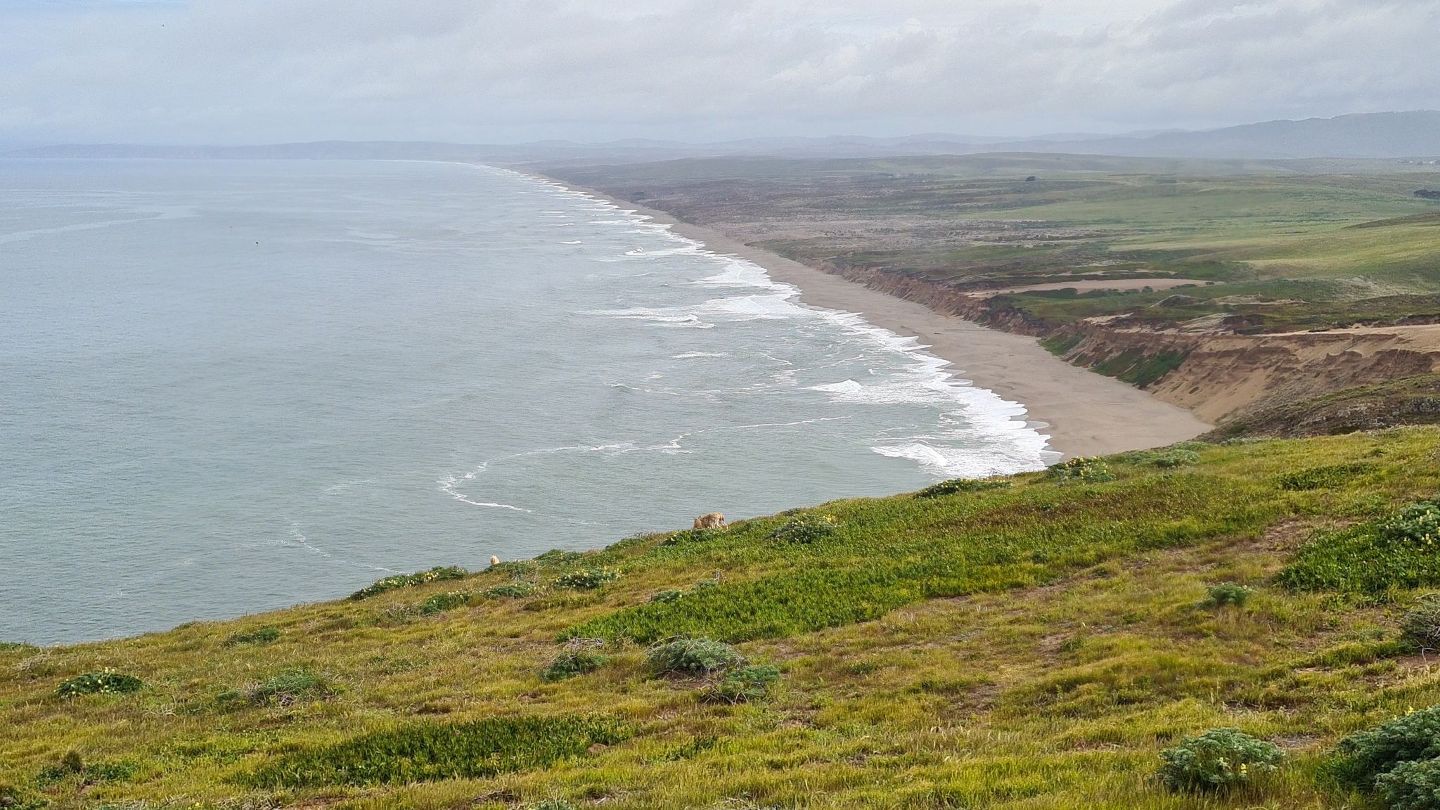 Long sandy beach with ocean waves and green hills under a cloudy sky. - Point Reyes Lighthouse Trail