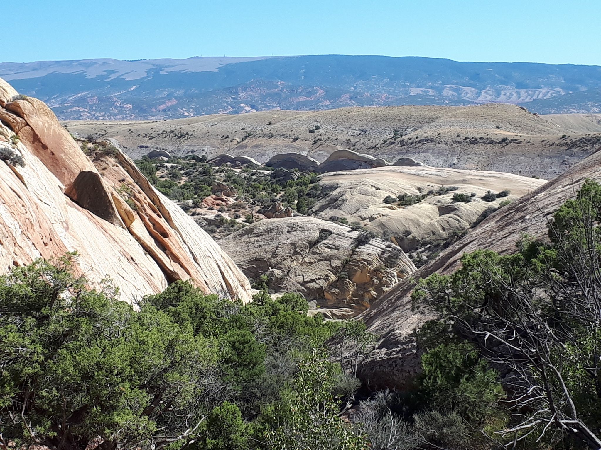 Sunny desert canyon with green shrubs, light-colored rock formations, and distant mountains. - Sound of Silence Trail – Dinosaur National Monument