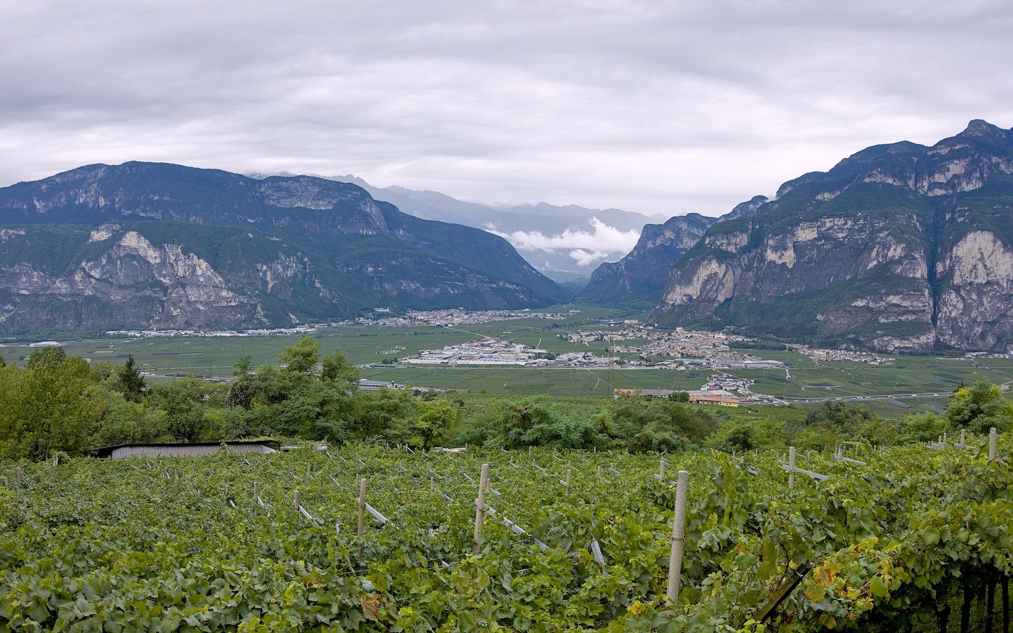 ... mit Blick ins Etschtal