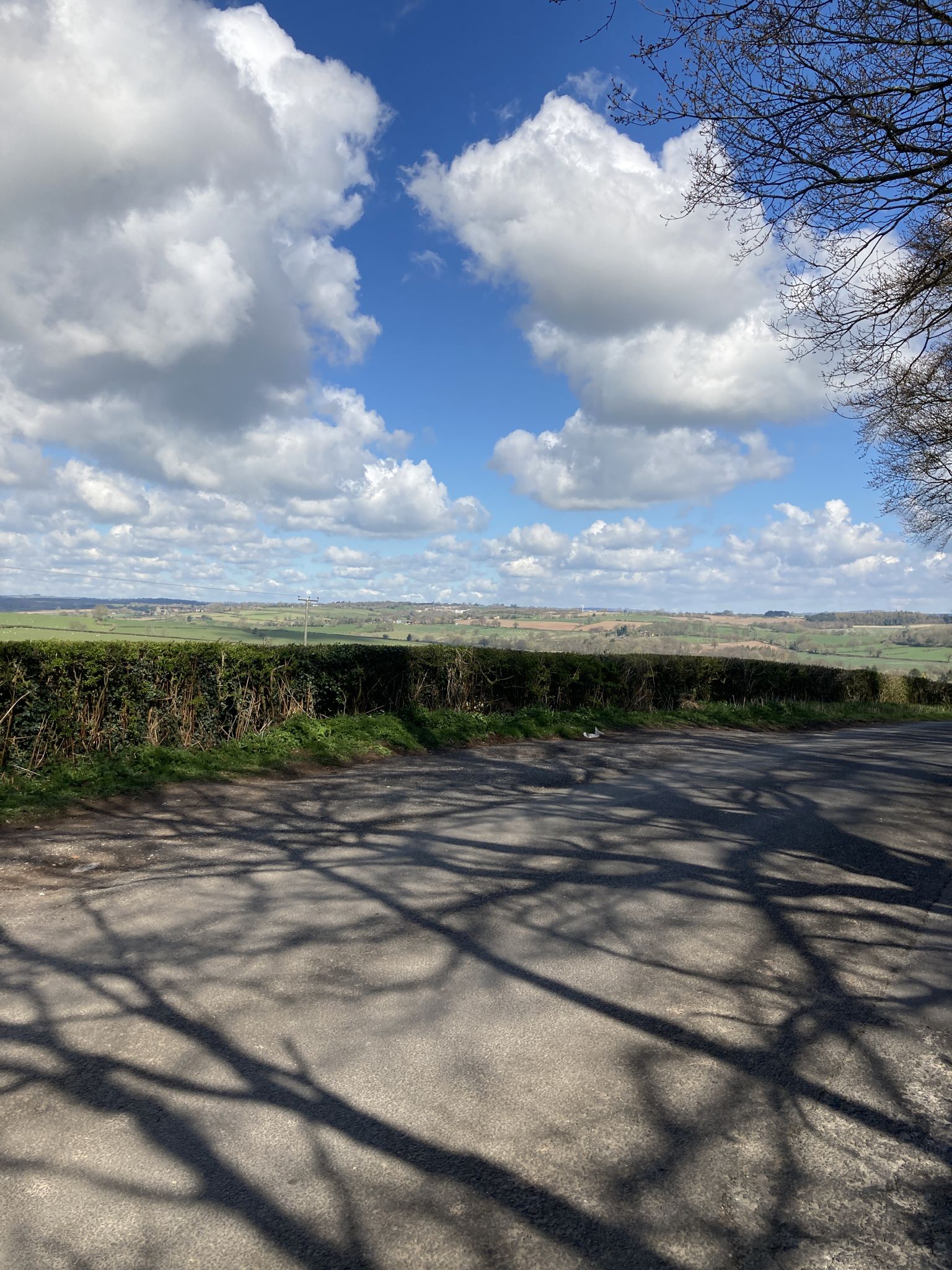 Viewpoint looking towards Carsington Water