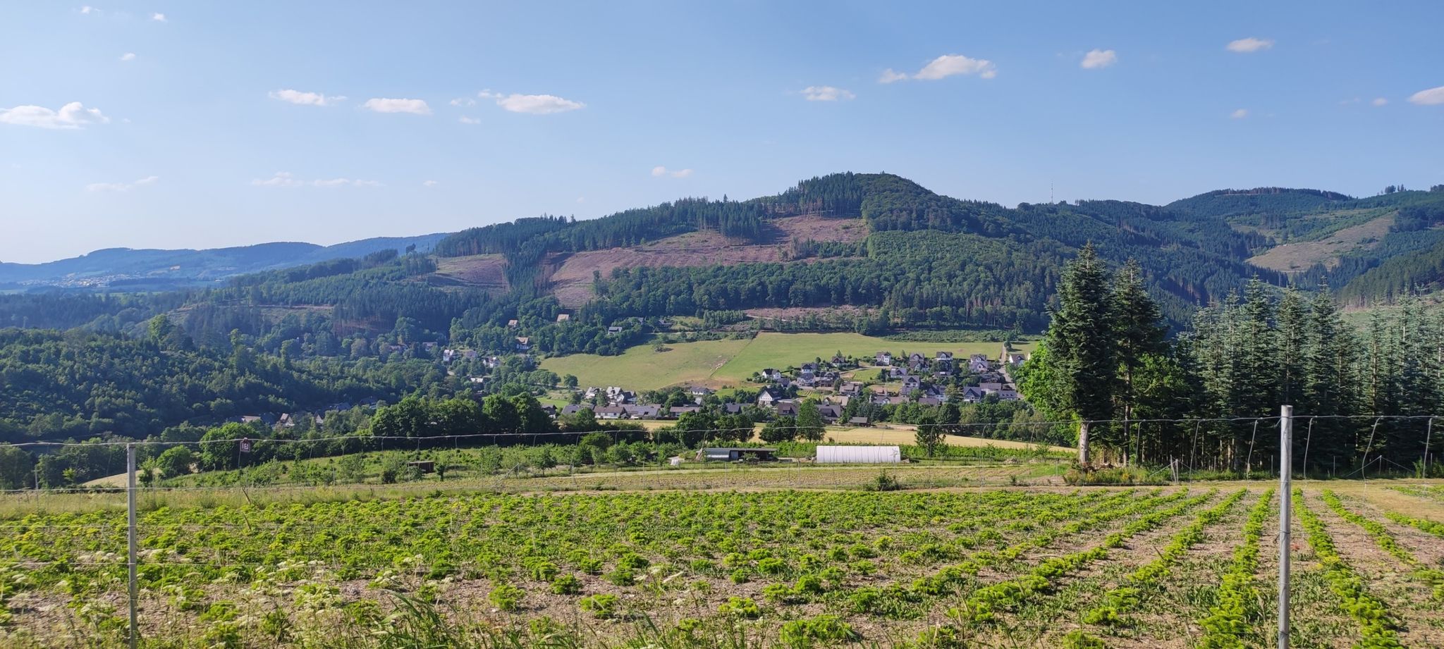 Blick auf oberkirchen