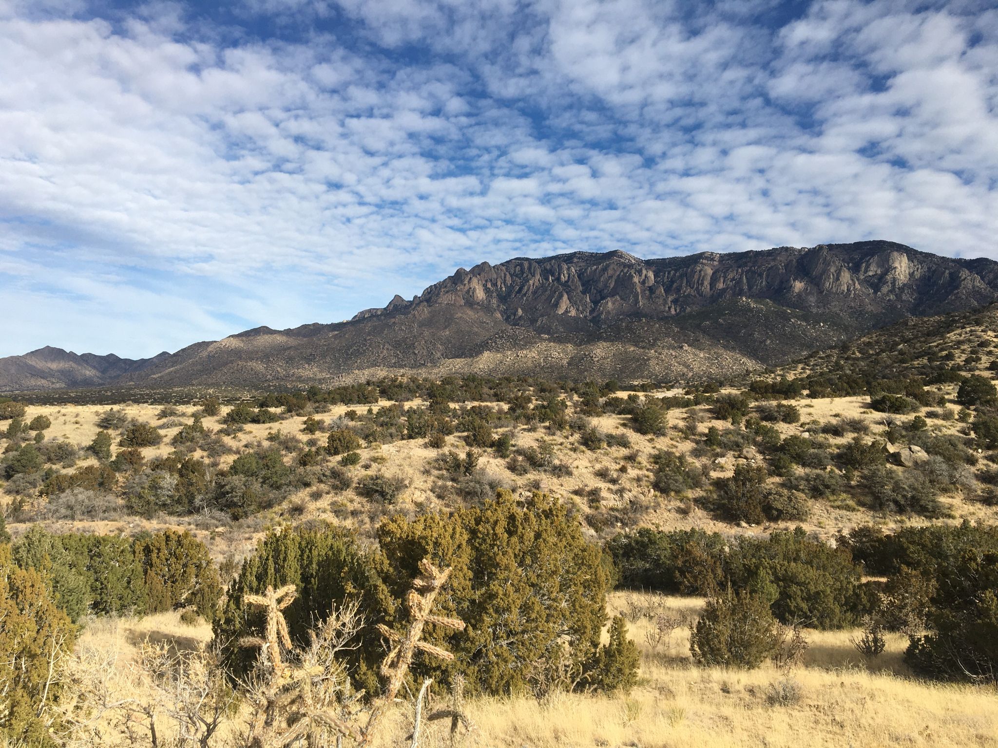 A wide desert landscape with shrubs and rugged mountains under a cloudy sky. - Foothills Trail North – Intersection of Trails 365 and 366 loop from Eldorado High School