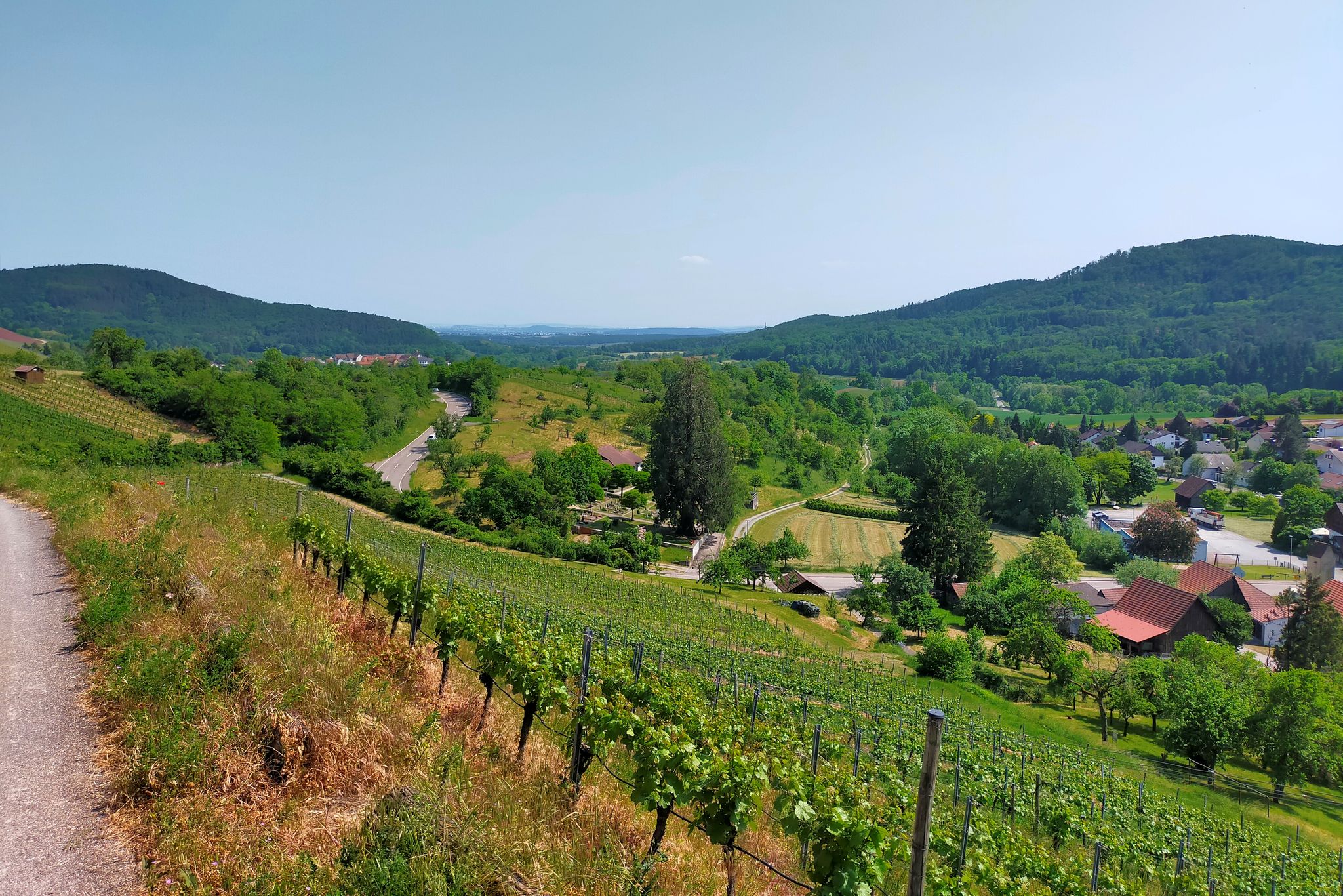 Blick ins Kirbachtal