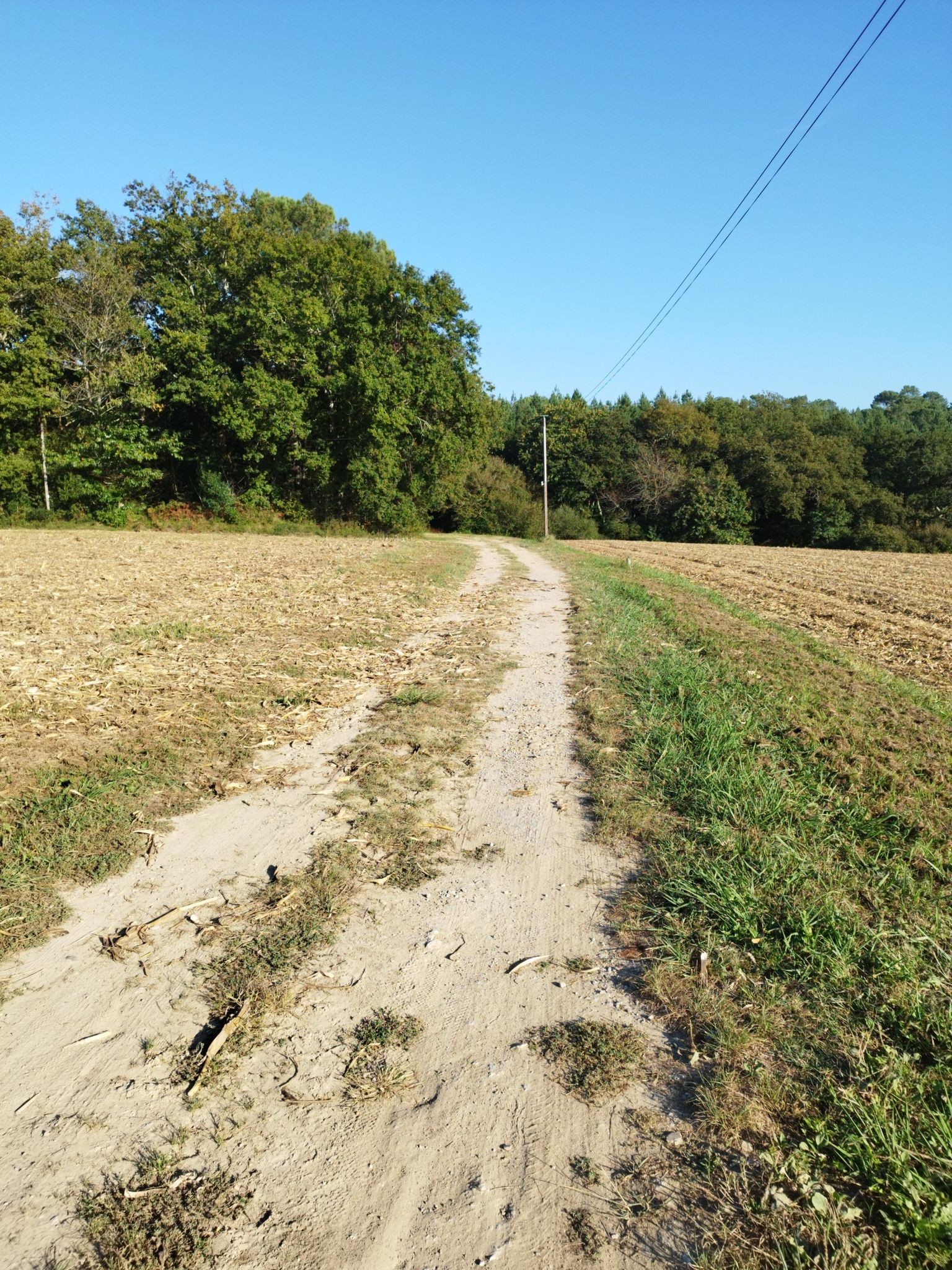 Chemin de sable et gravier