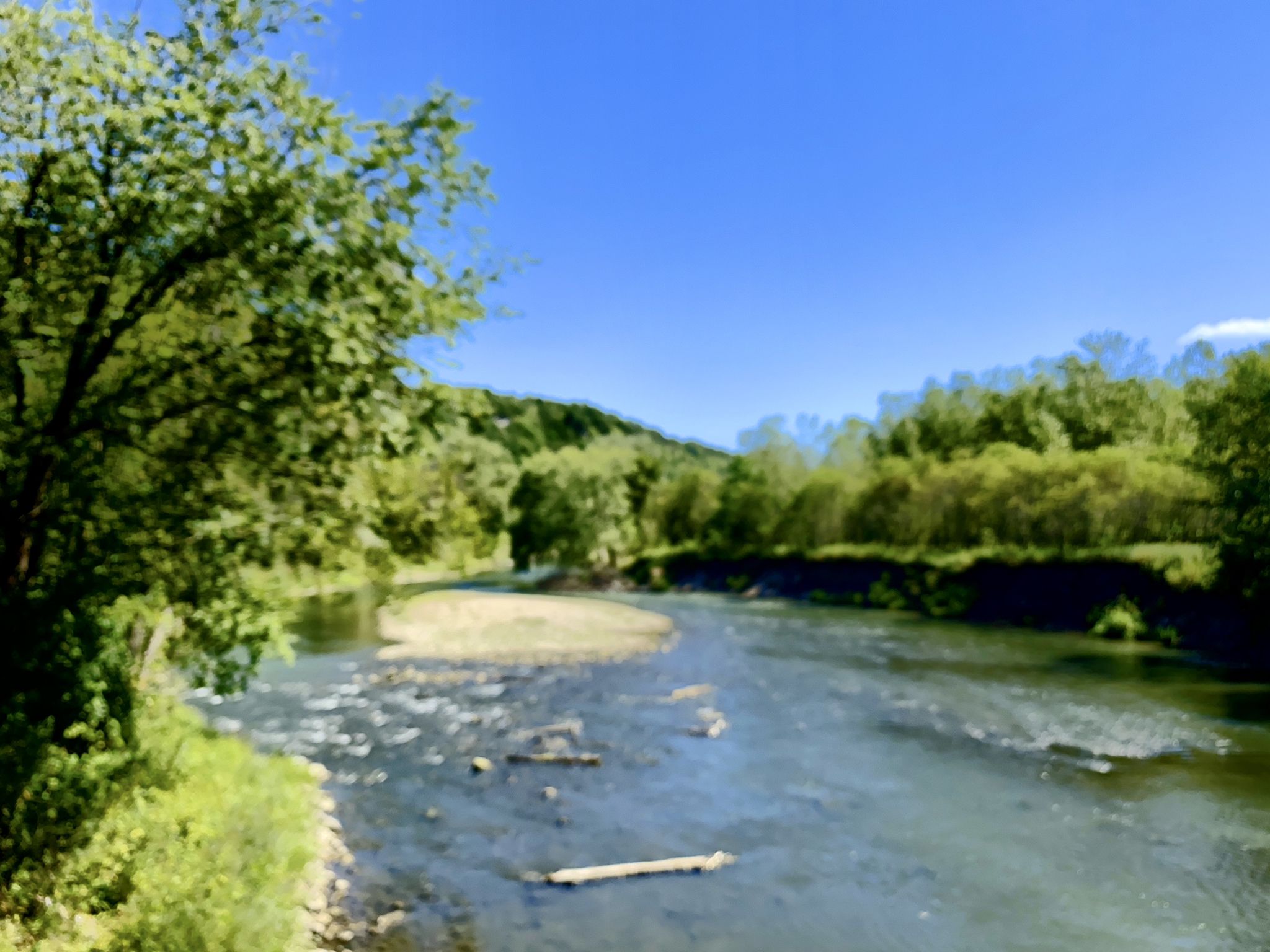 Wide river flowing through a green valley under a clear blue sky. - Root River Trail: Peterson to Whalan