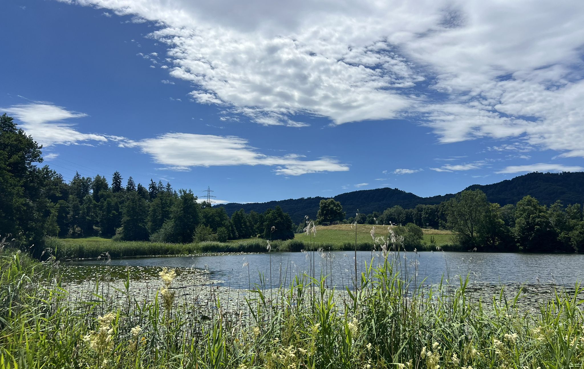 Gattikerweiher bi Gattikon