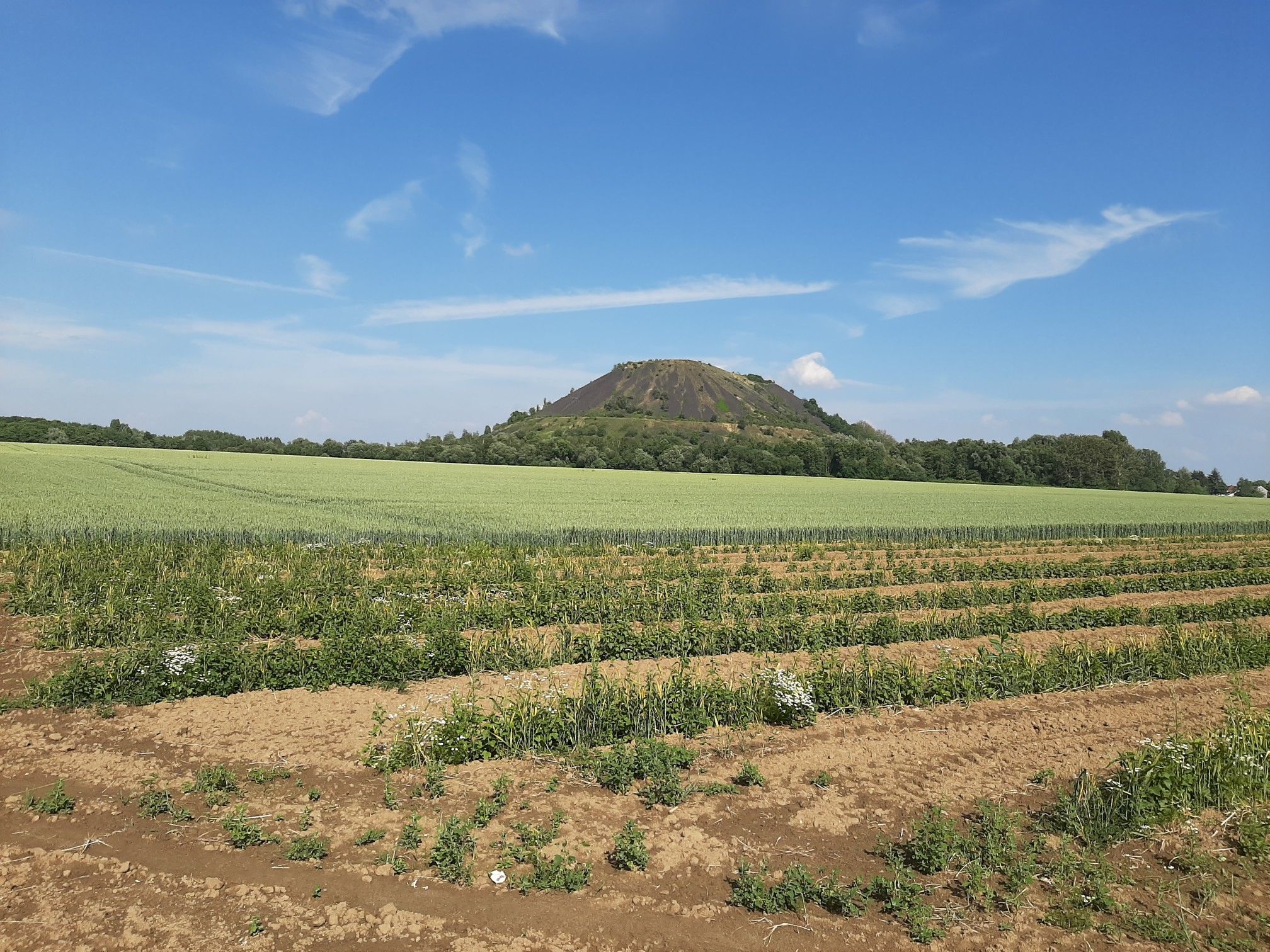 Abraumhalde bei Alsdorf