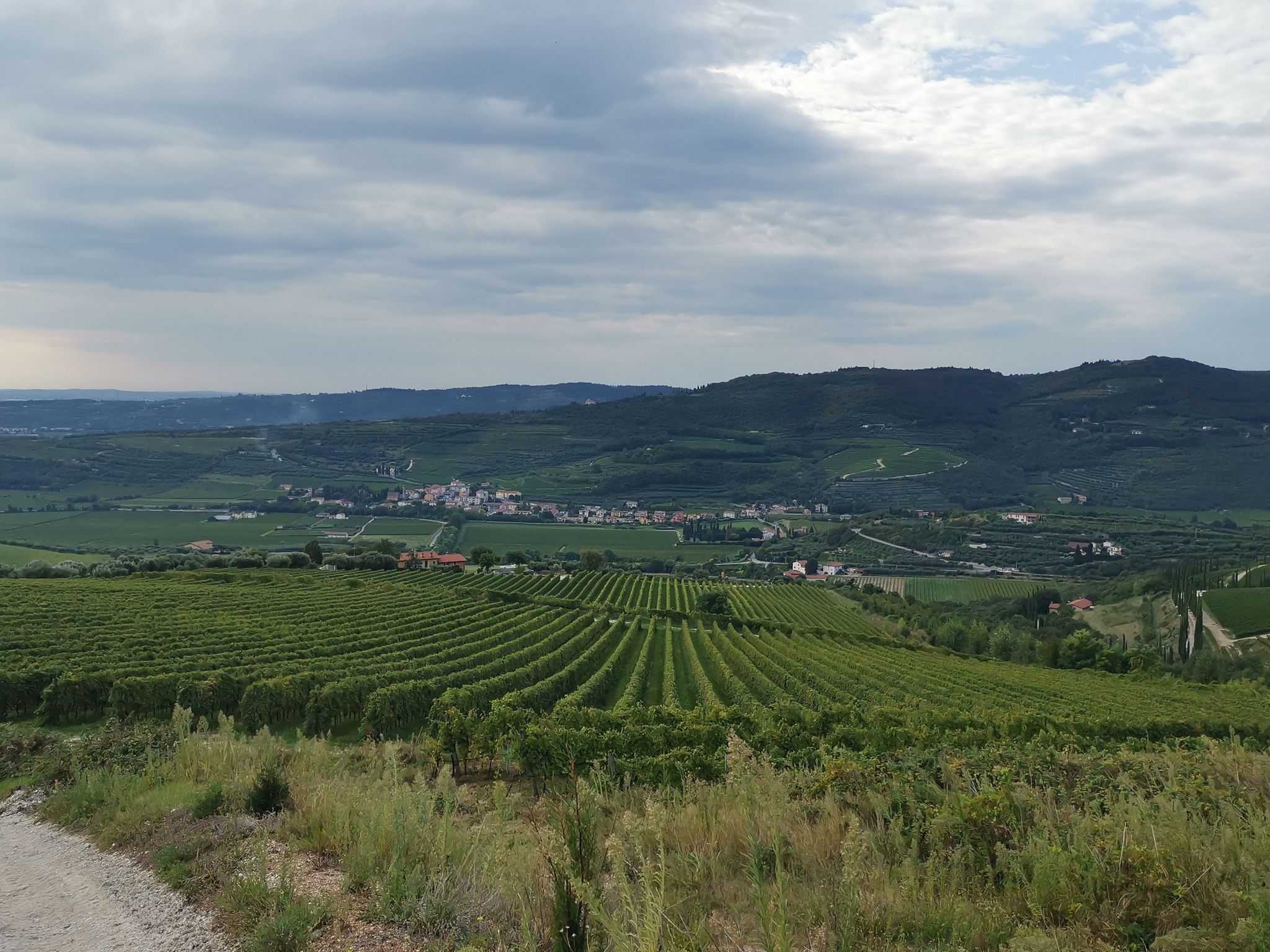 Mizzole dall'alto