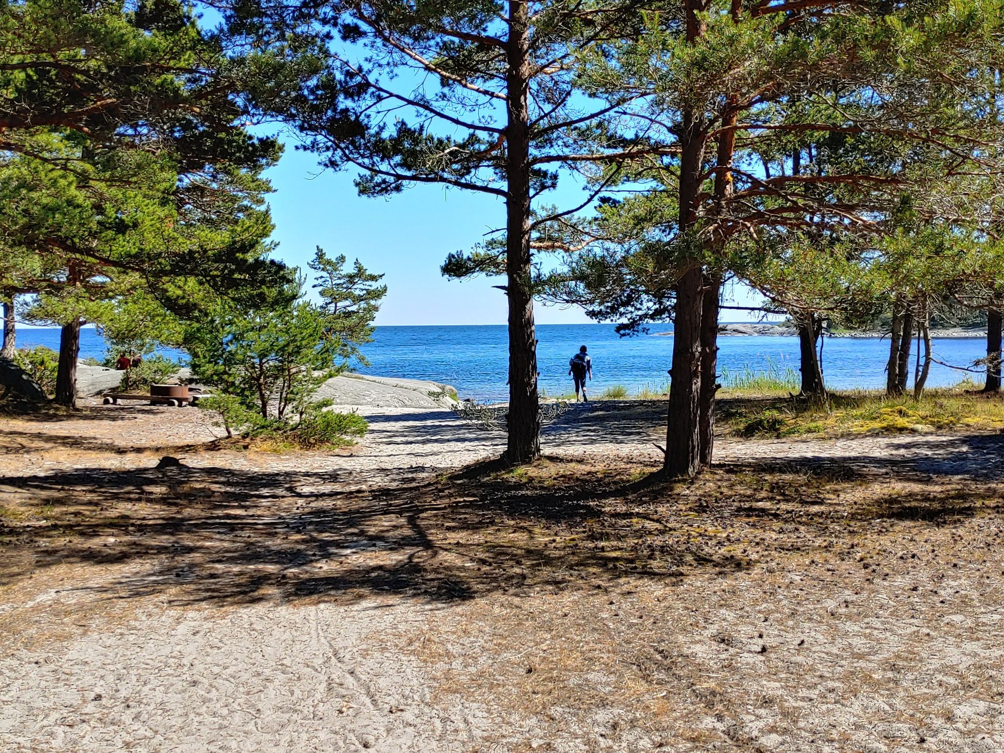 Und nun baden in der Ostsee