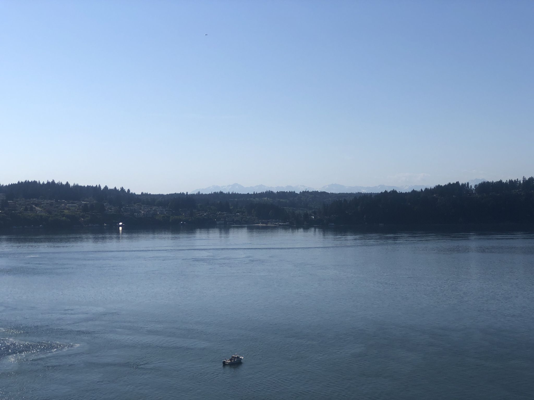 Wide view of calm blue water with distant forested shore under clear sky. - Point Defiance Park – Narrows Viewpoint loop from Ruston