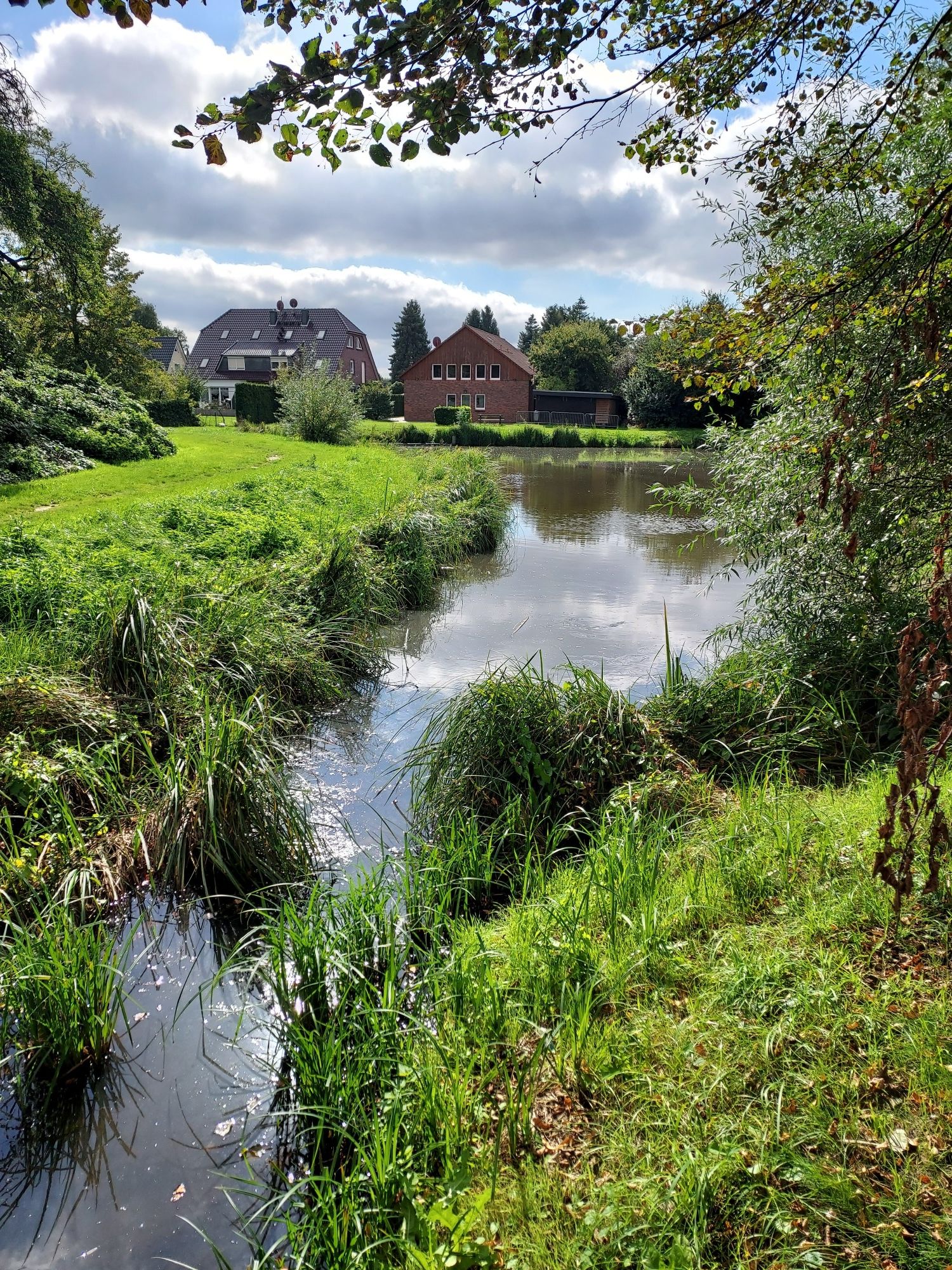 Mühlenteich