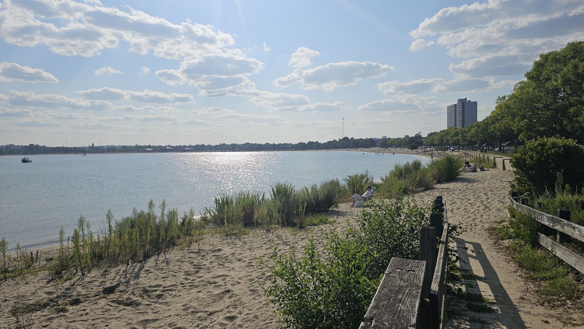Sunny beach with calm water, a wooden bench, and distant buildings under bright sky. - Boston HarborWalk: Castle Island and Pleasure Bay Loop