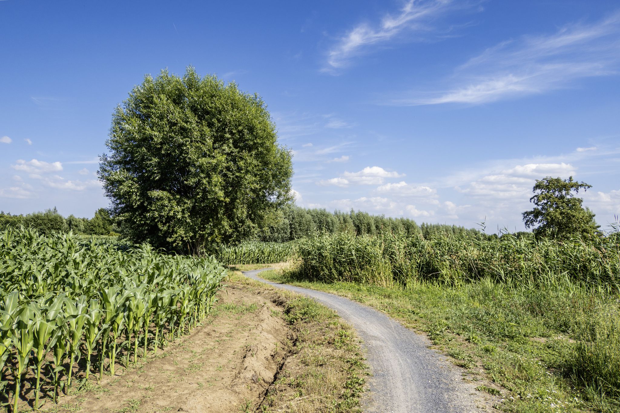 Via de Hoeksken Kerkwegel