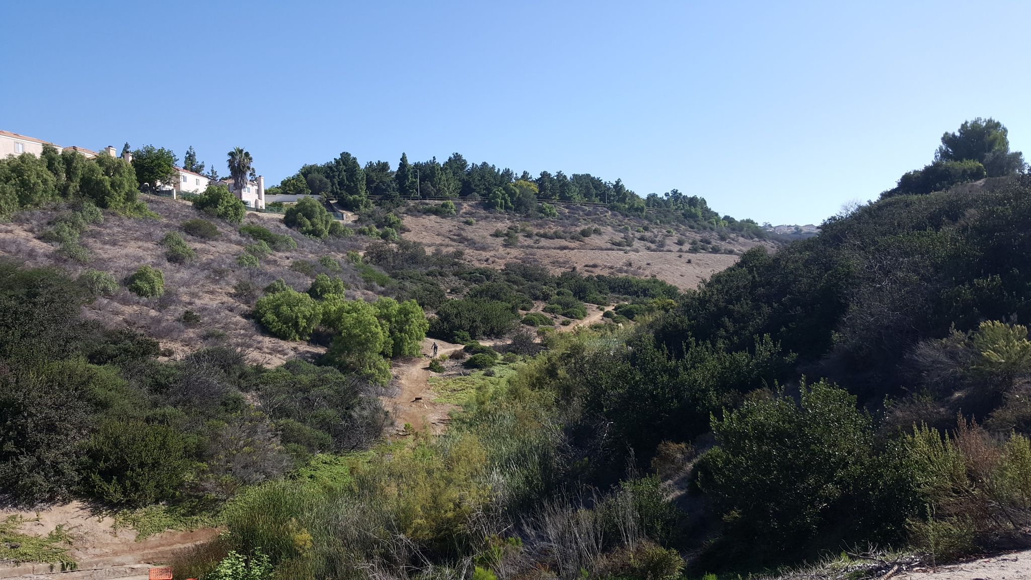 Sunny view of dry, brush-covered hills with distant buildings under a clear sky. - Snake Trail – Rice Canyon Trail loop from Southwestern College