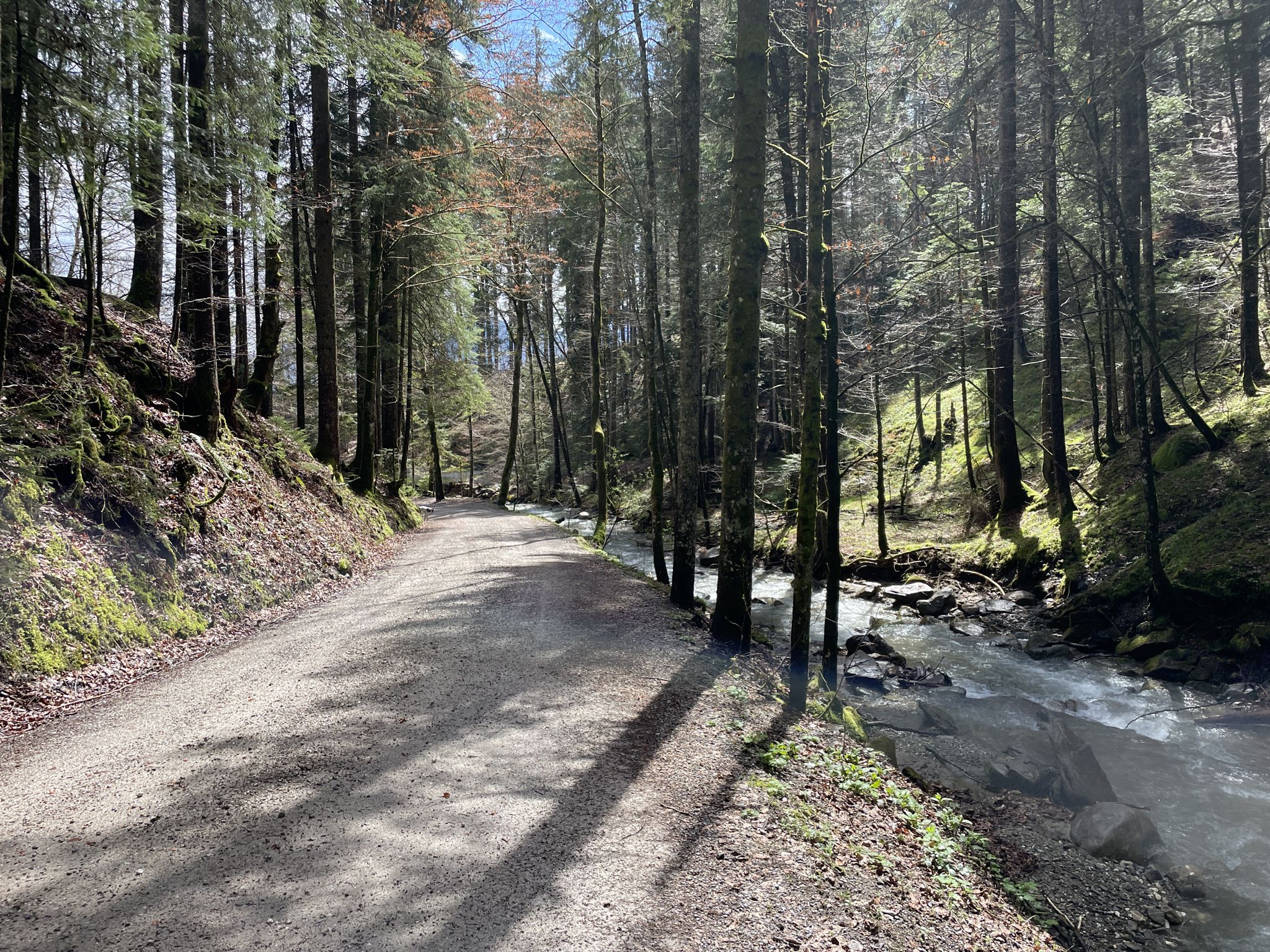 Weg abwärts am Zeiselbach mit Sonne