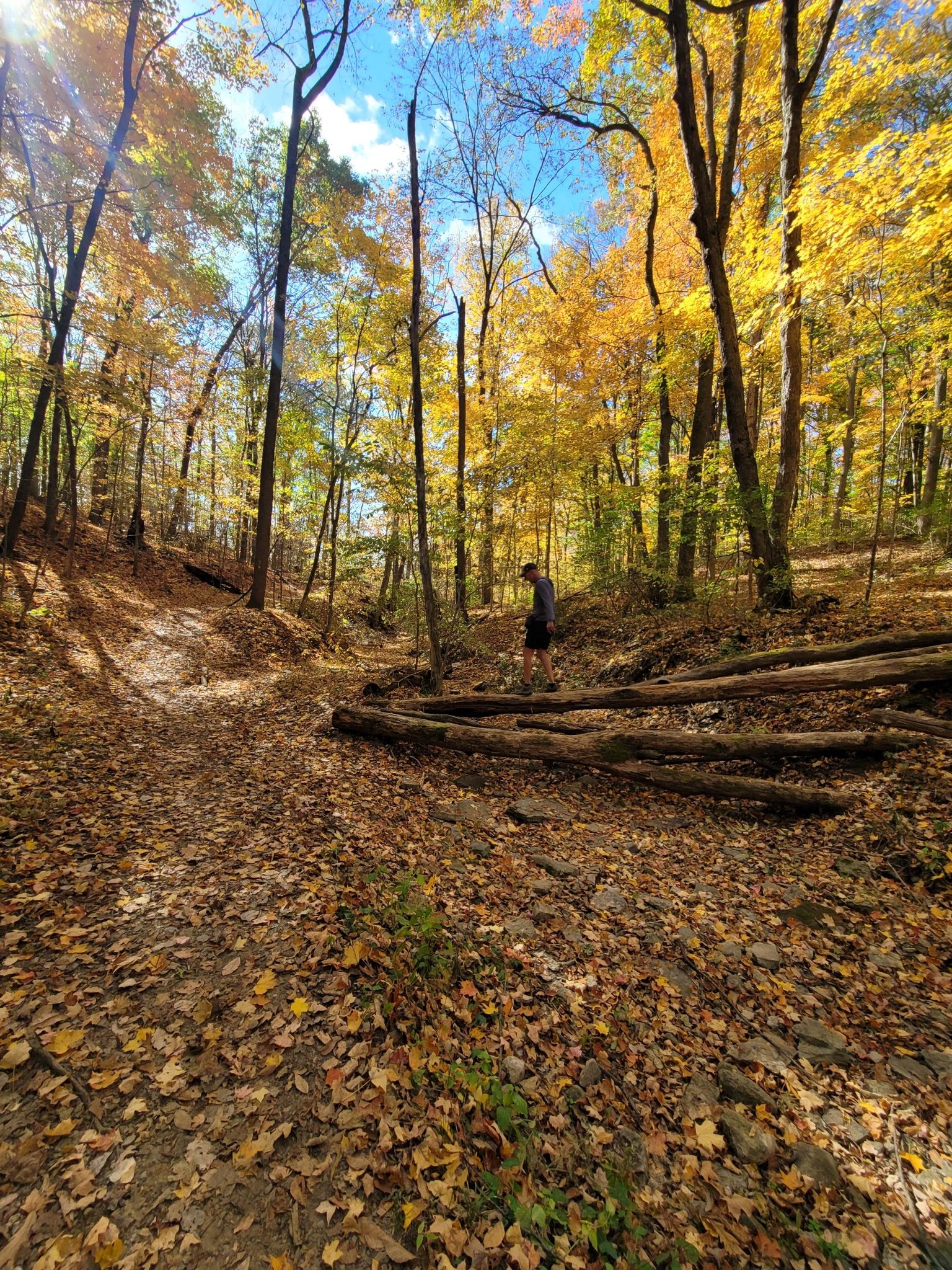 Person walking on a leaf-covered path through a bright autumn forest. - Perimeter Trail