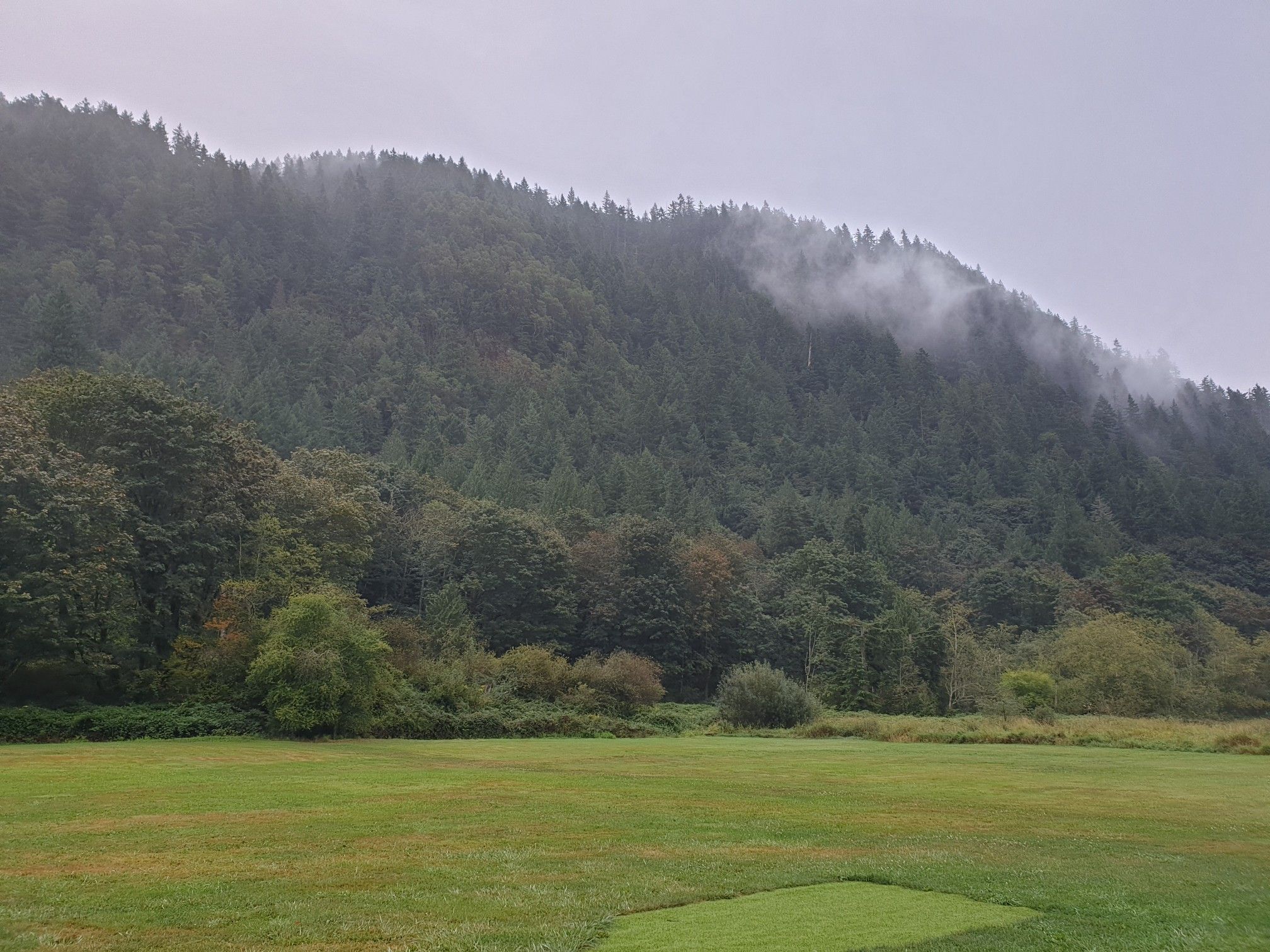 A green field before a misty, forested mountain under a gray sky. - Issaquah Veterans Park – Issaquah Preston Trail loop from Issaquah