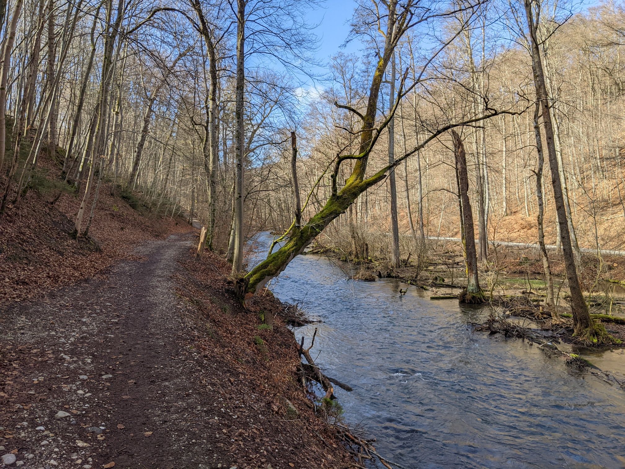 Auf dem Weg entlang der Würm ...